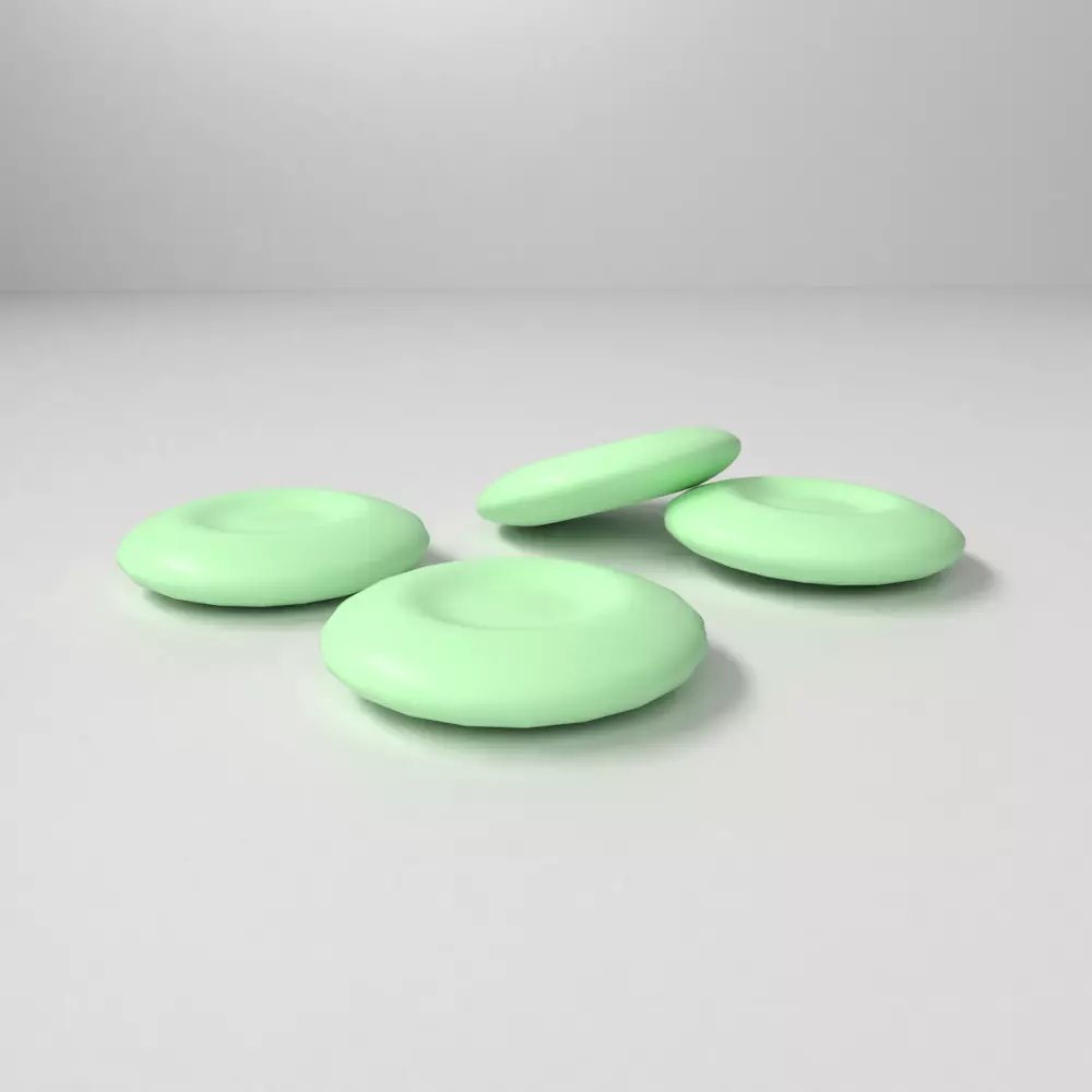 Mint Chocolate Coin 3D model_0