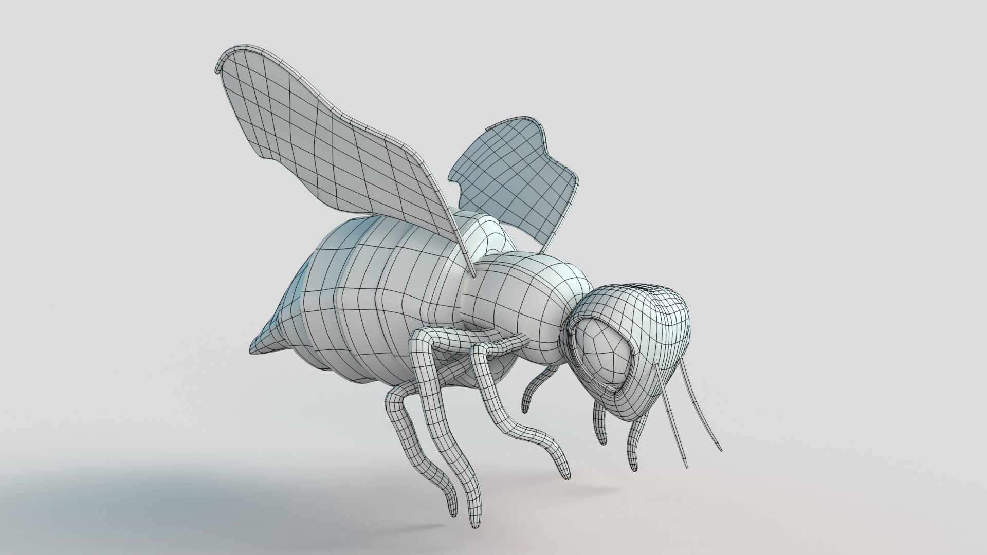 Bee  Cartoon 3D model_8