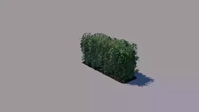 3d hedge model