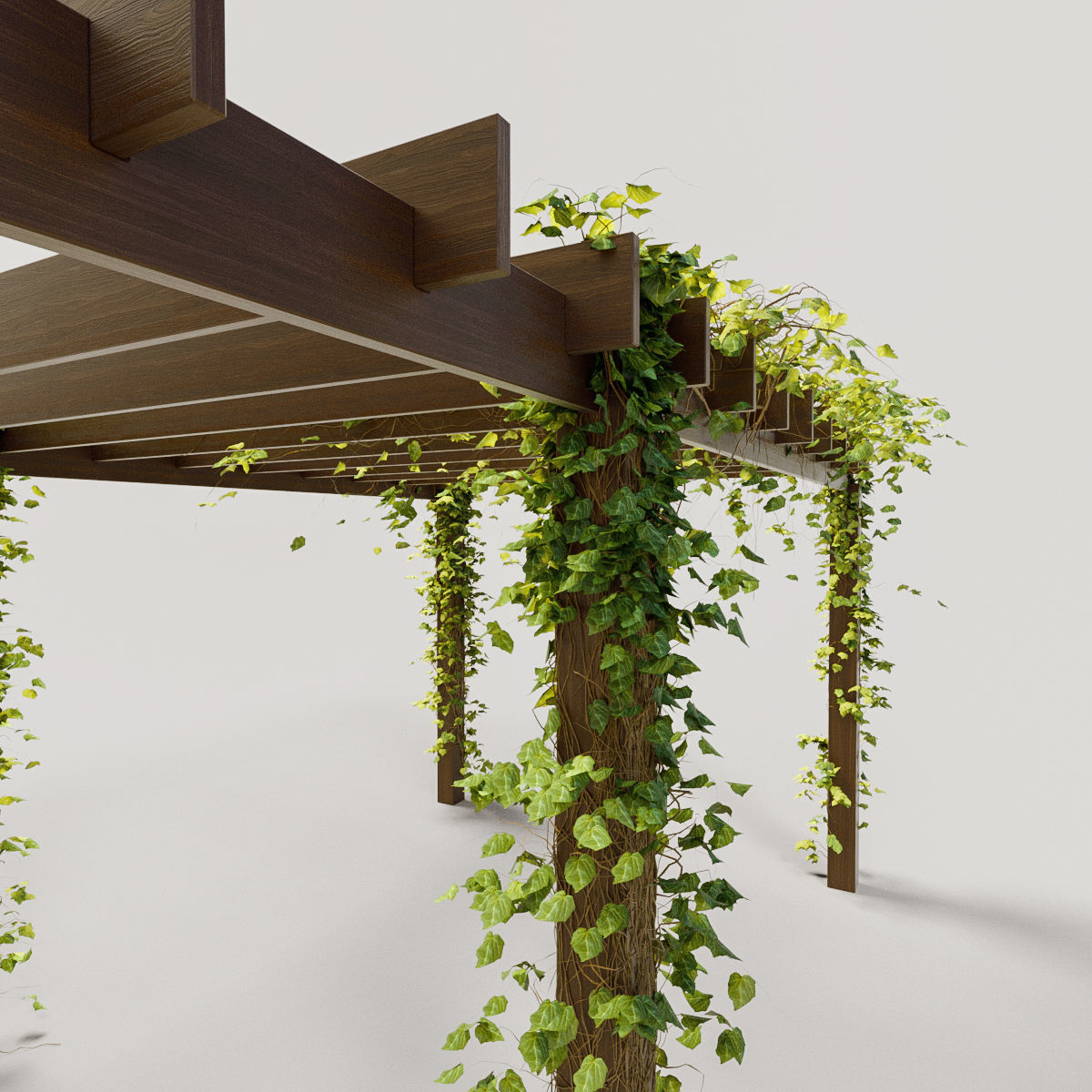 Pergola with ivy 3D model_2