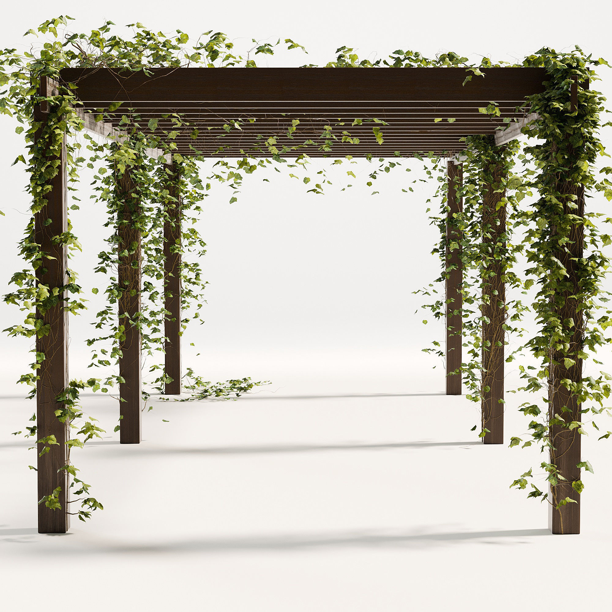 Pergola with ivy 3D model_3
