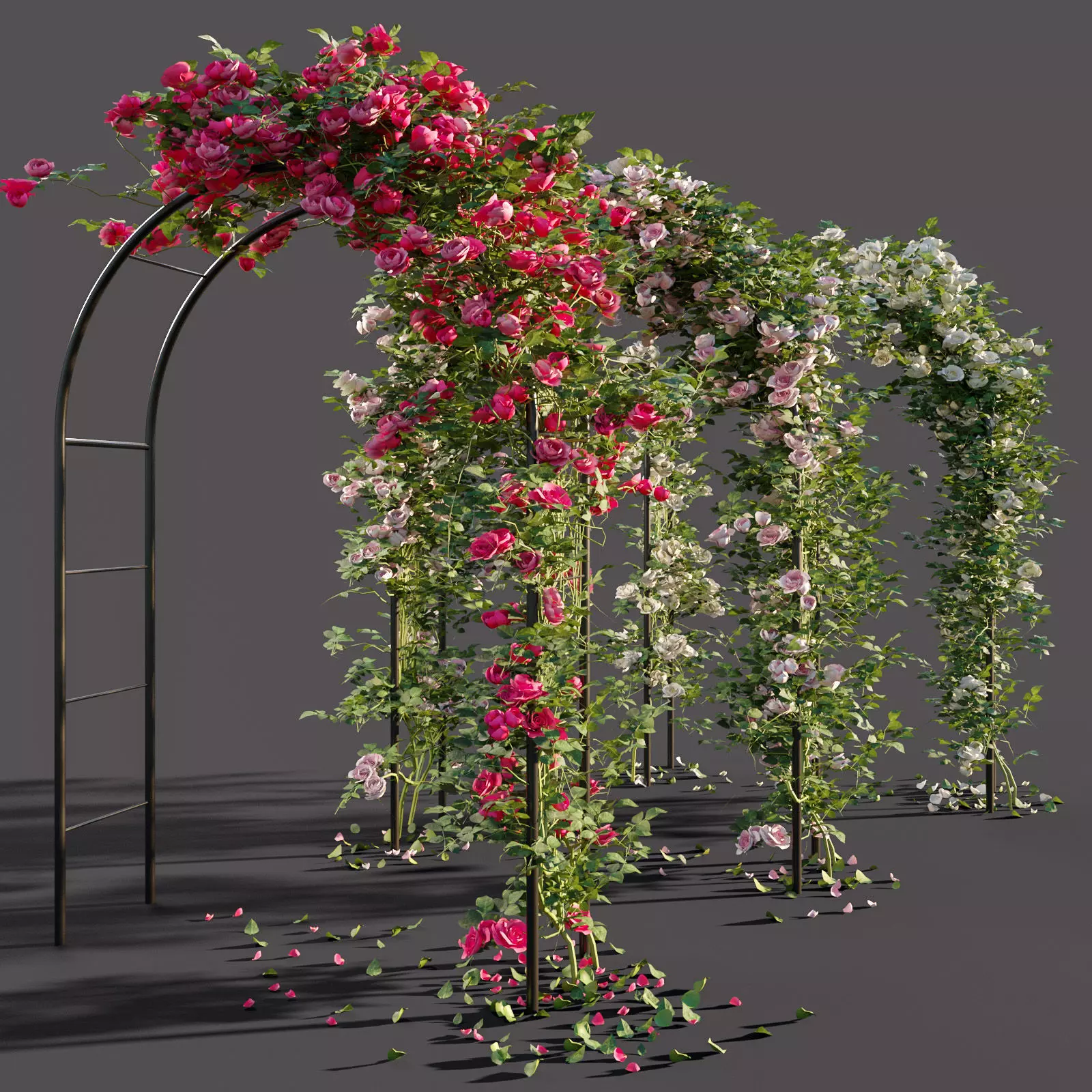 Arch pergola with roses 3D model_0