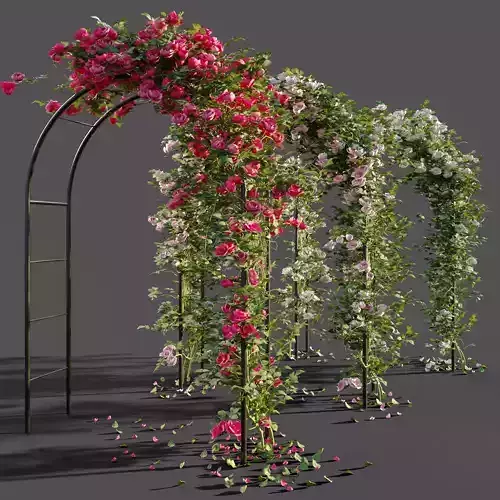 Arch pergola with roses 3D model