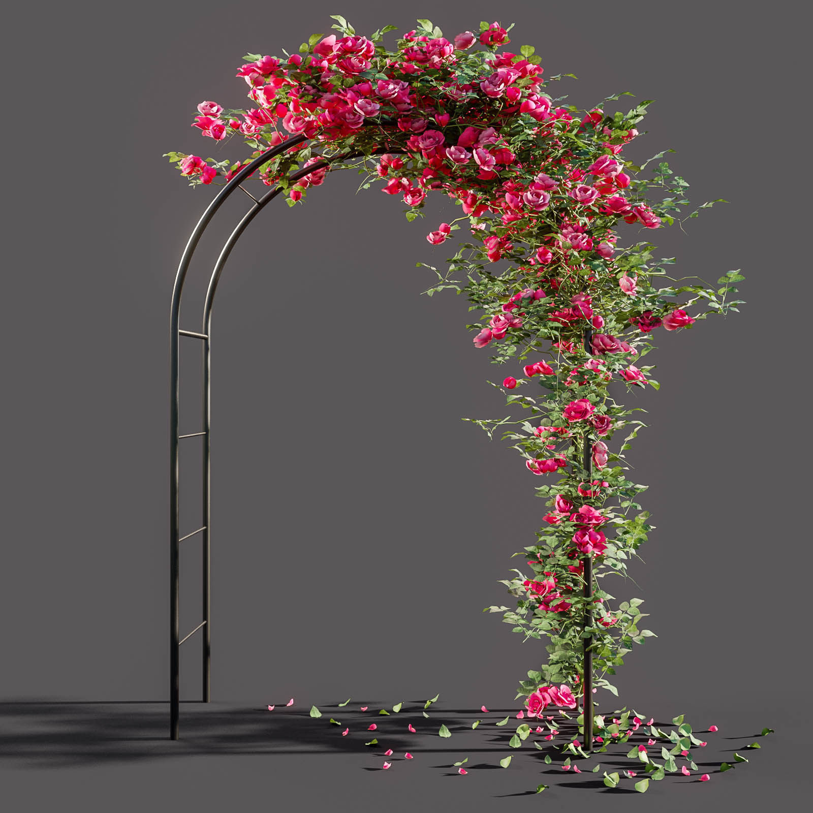 Arch pergola with roses 3D model_3