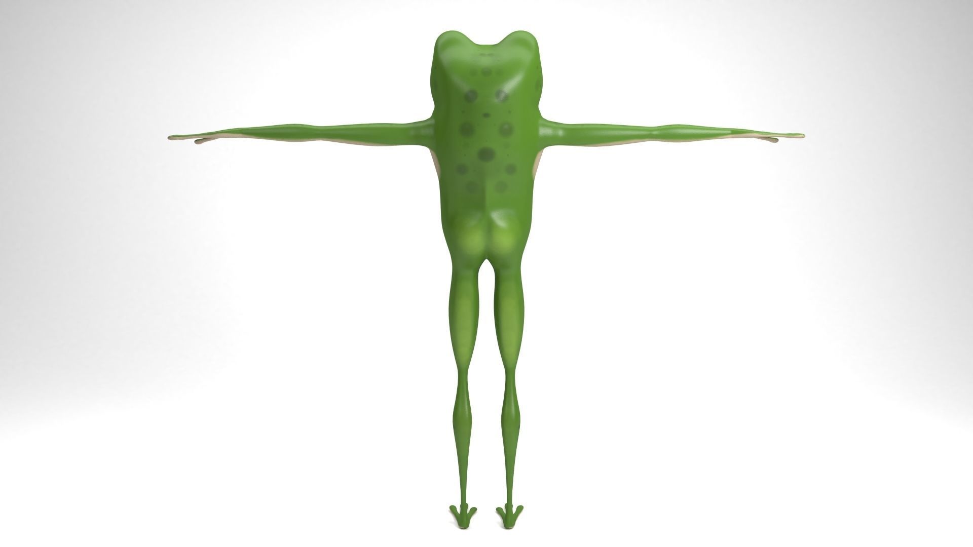Cartoon frog 3D model_3