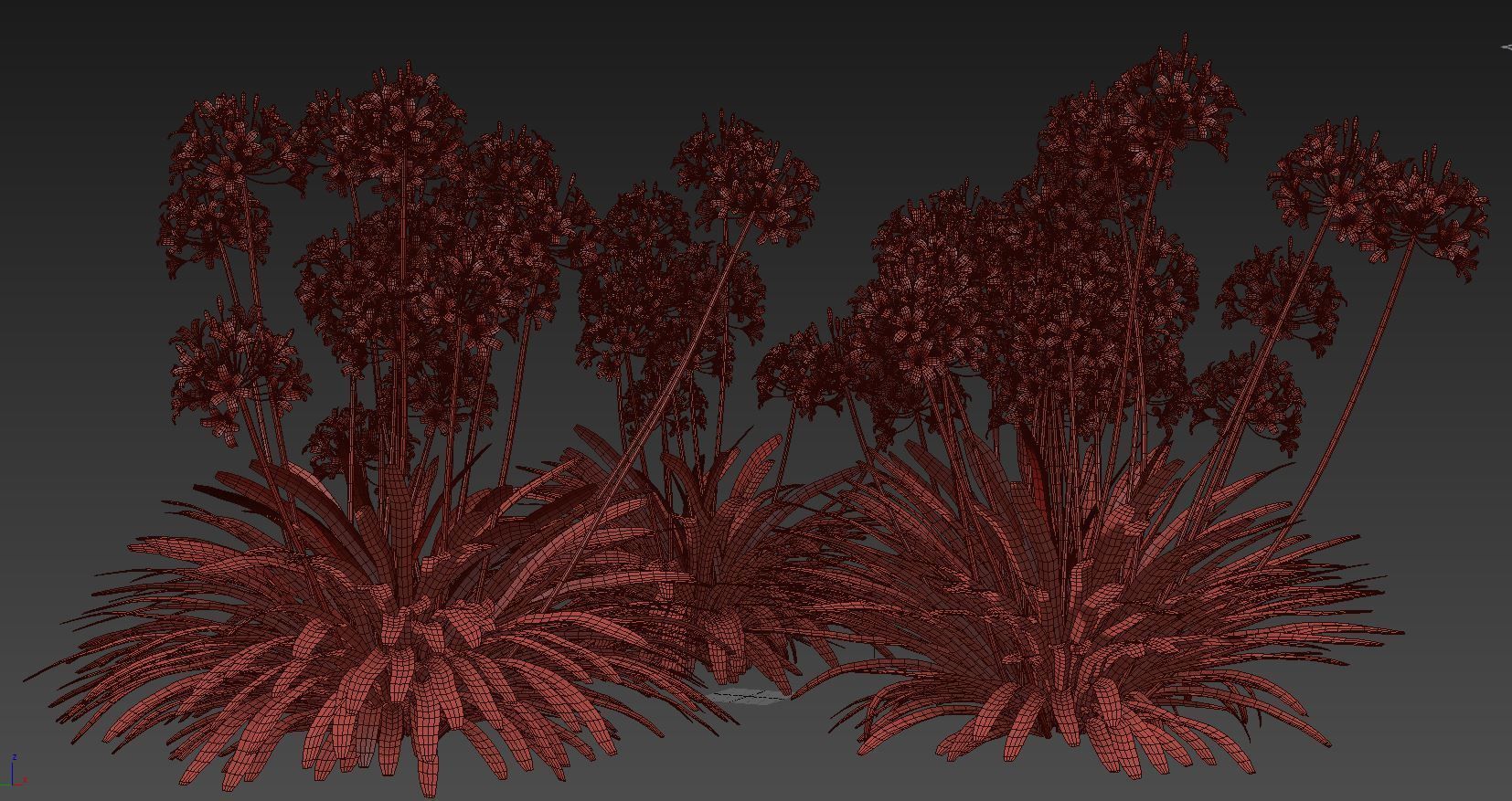 Agapanthus lily of valley 3D model_6