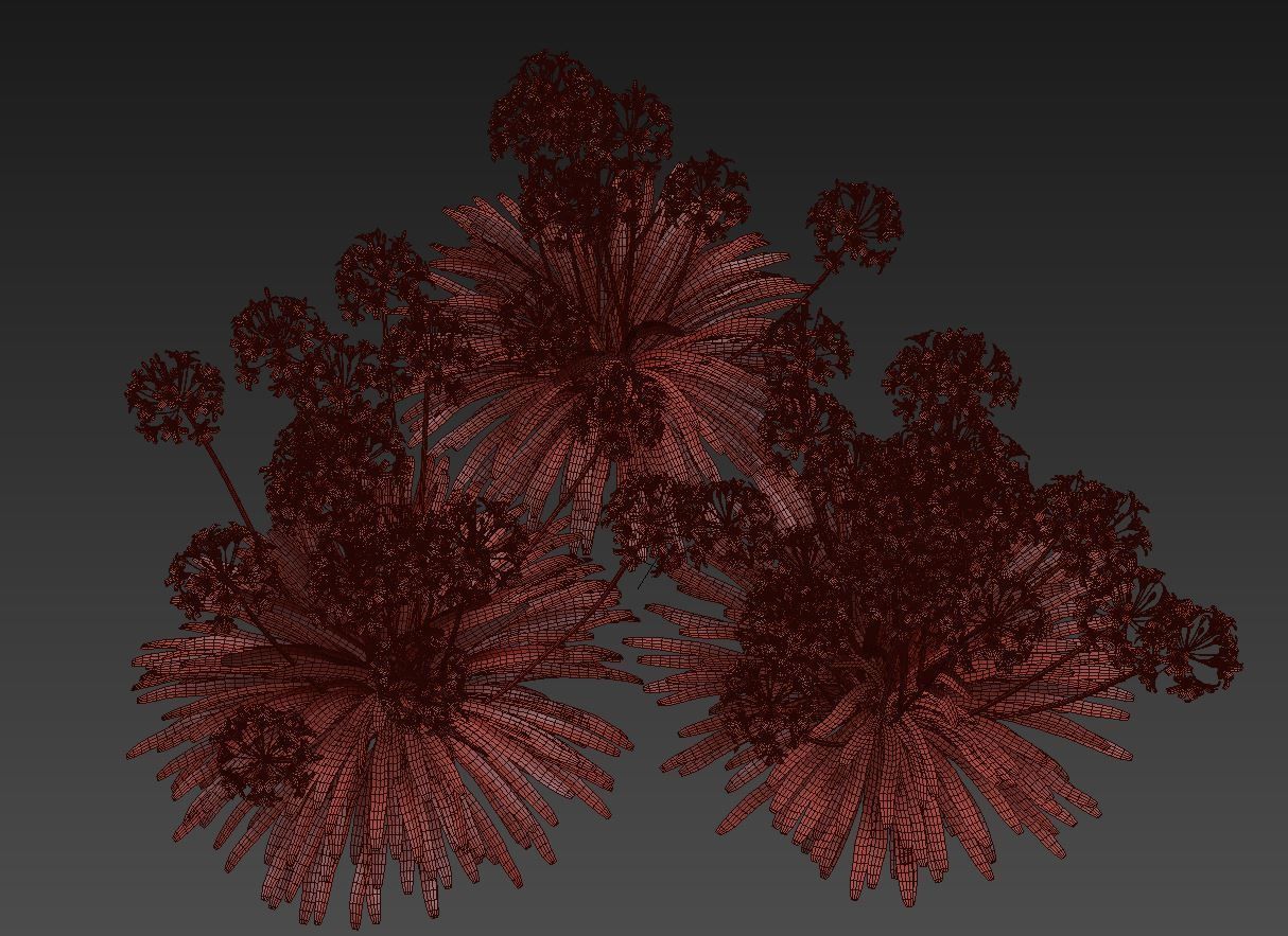 Agapanthus lily of valley 3D model_5