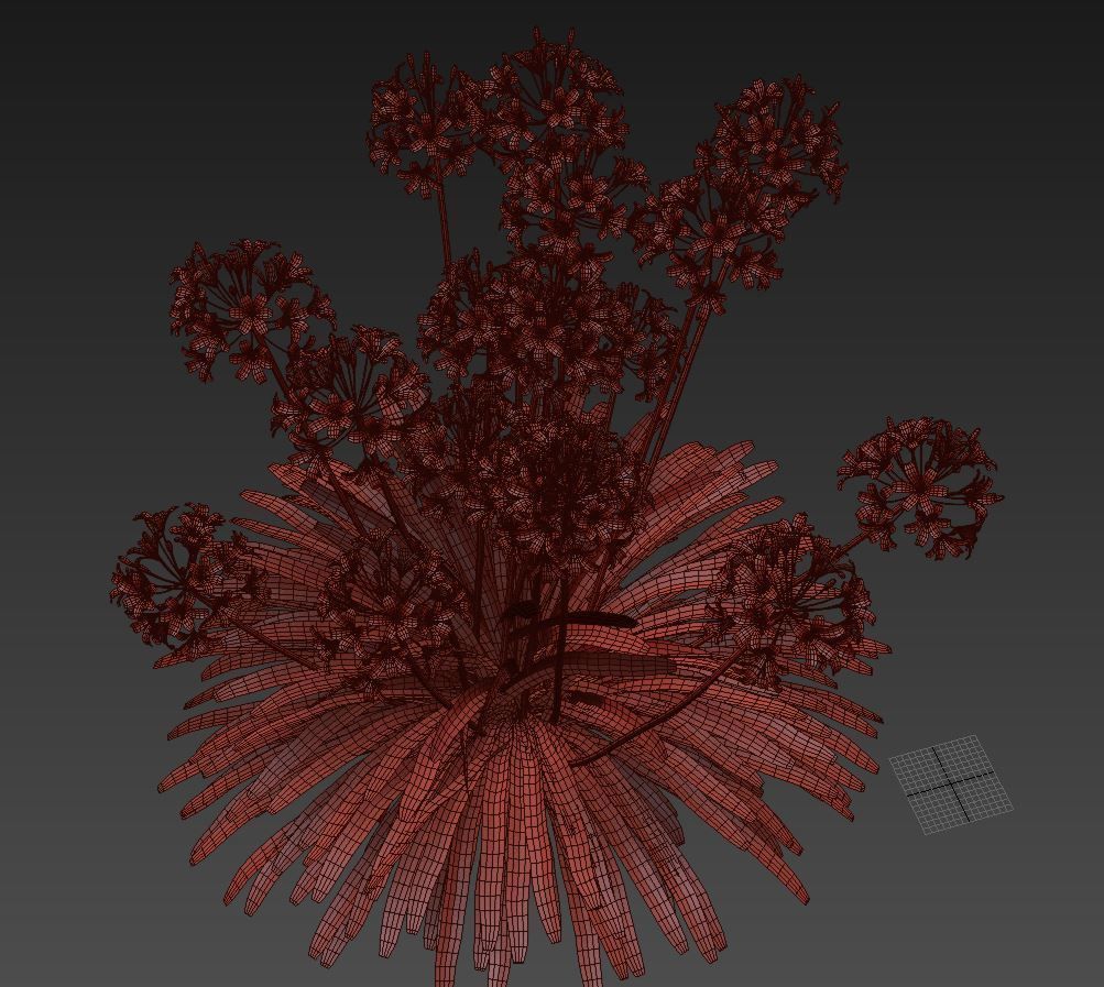 Agapanthus lily of valley 3D model_4