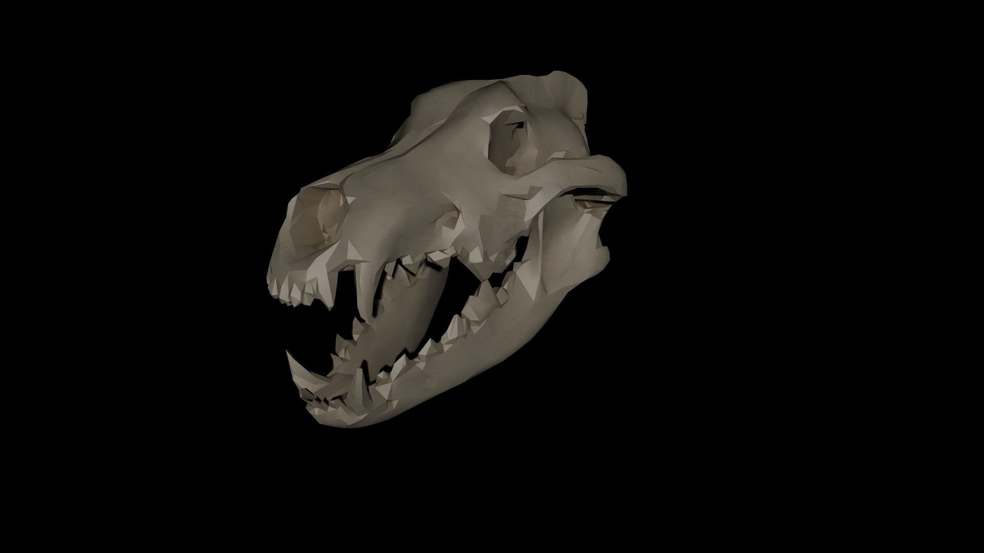 Dire Wolf Skull 3D model_1