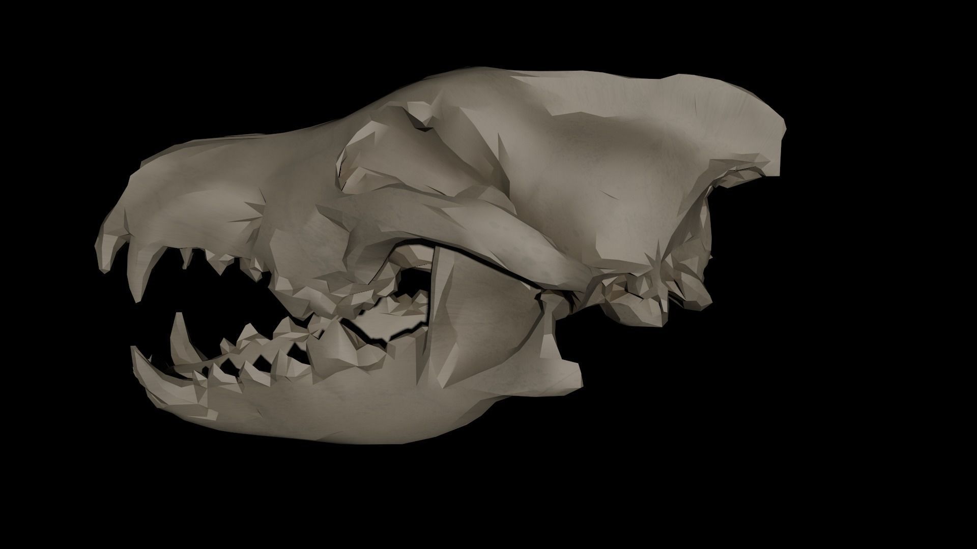 Dire Wolf Skull 3D model_6