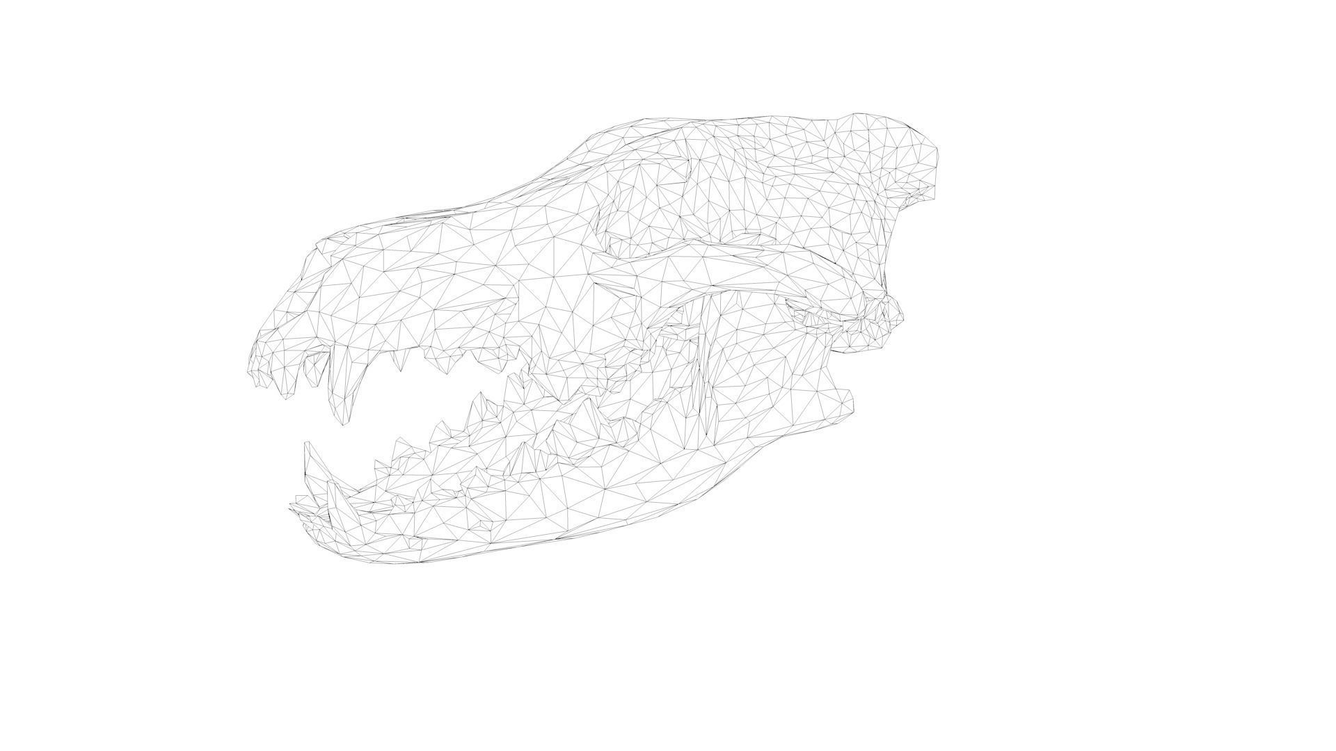 Dire Wolf Skull 3D model_2