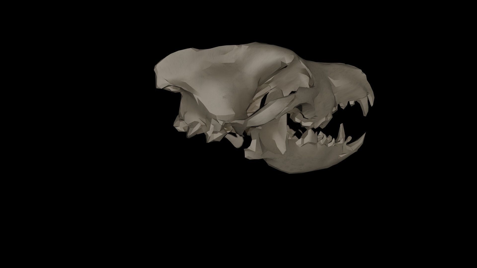 Dire Wolf Skull 3D model_4