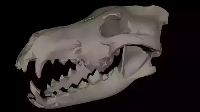 Dire Wolf Skull