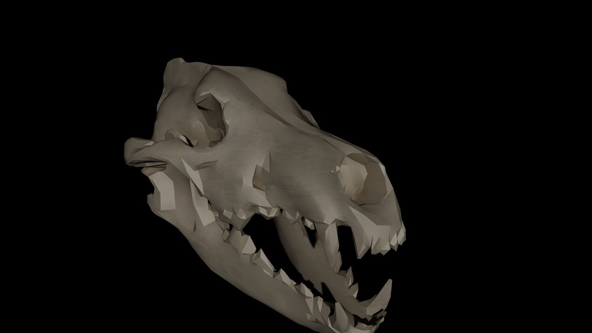 Dire Wolf Skull 3D model_3