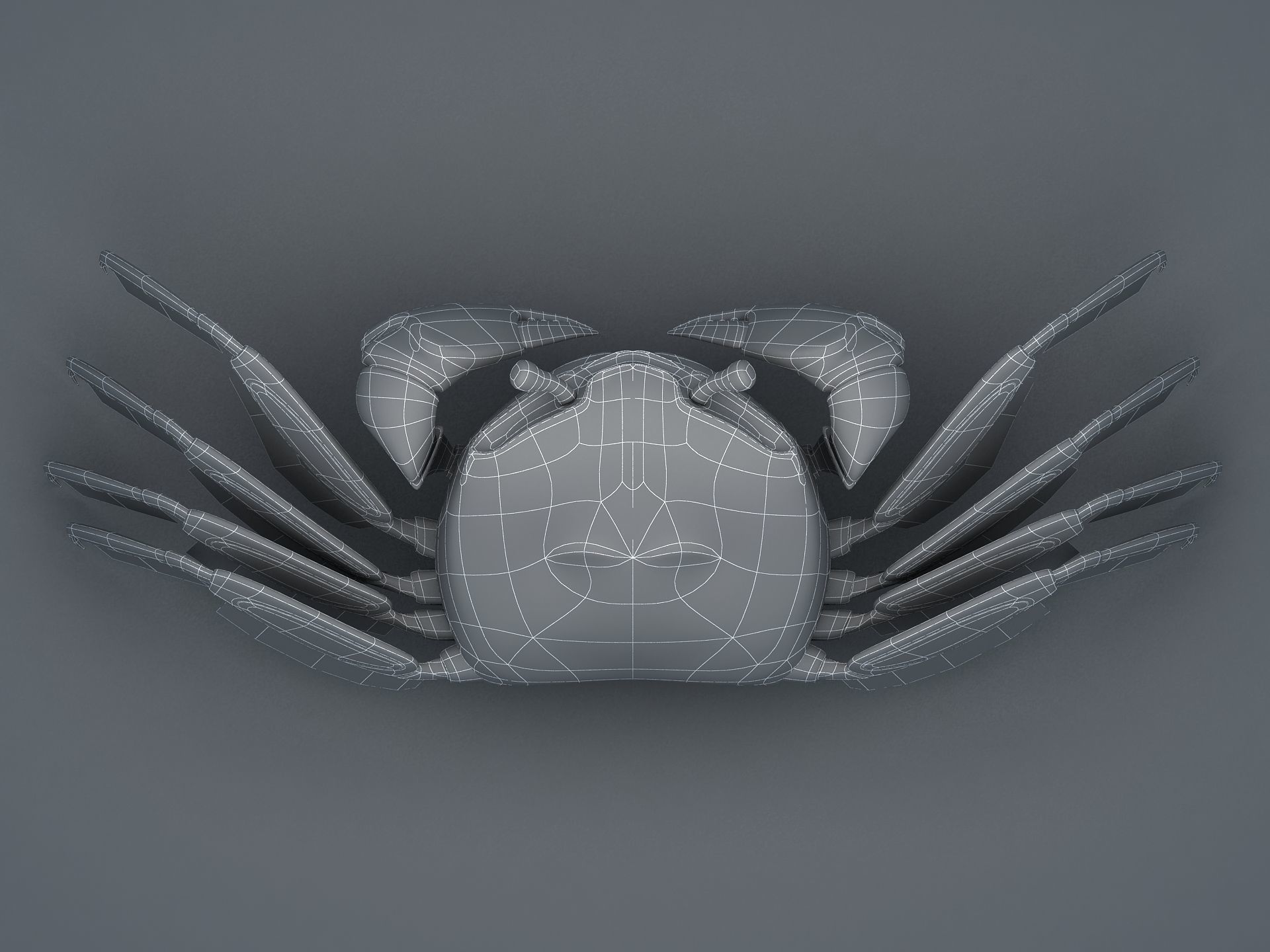 Crab Scopimera globosa Low-poly 3D model_20