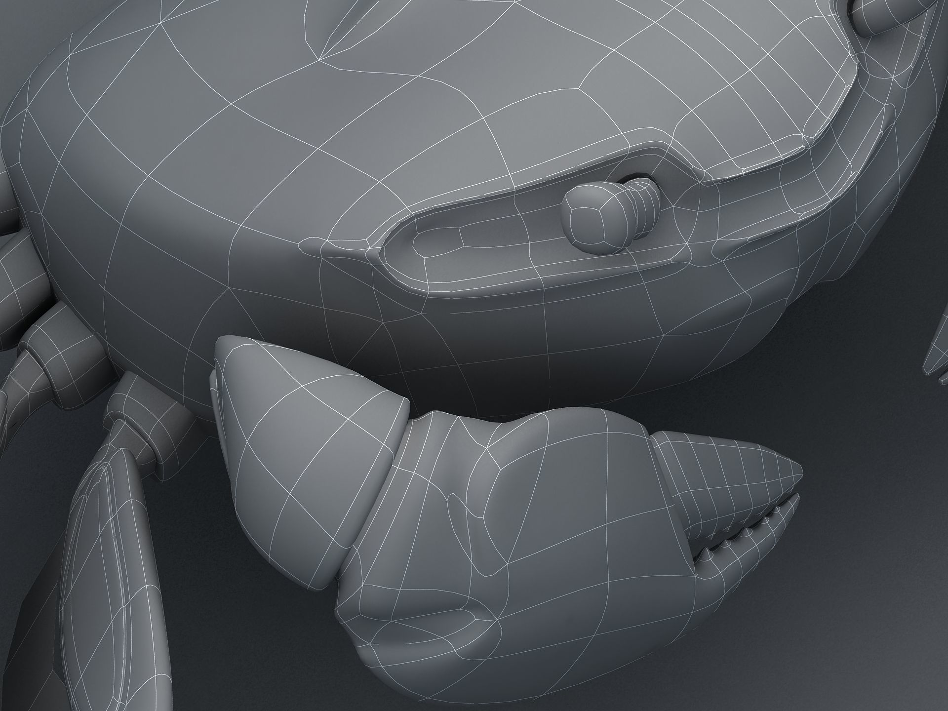 Crab Scopimera globosa Low-poly 3D model_19