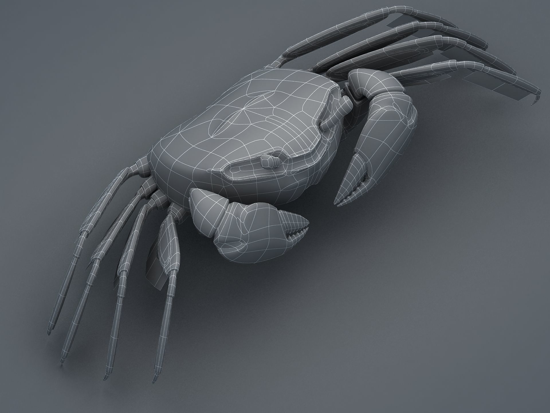 Crab Scopimera globosa Low-poly 3D model_22
