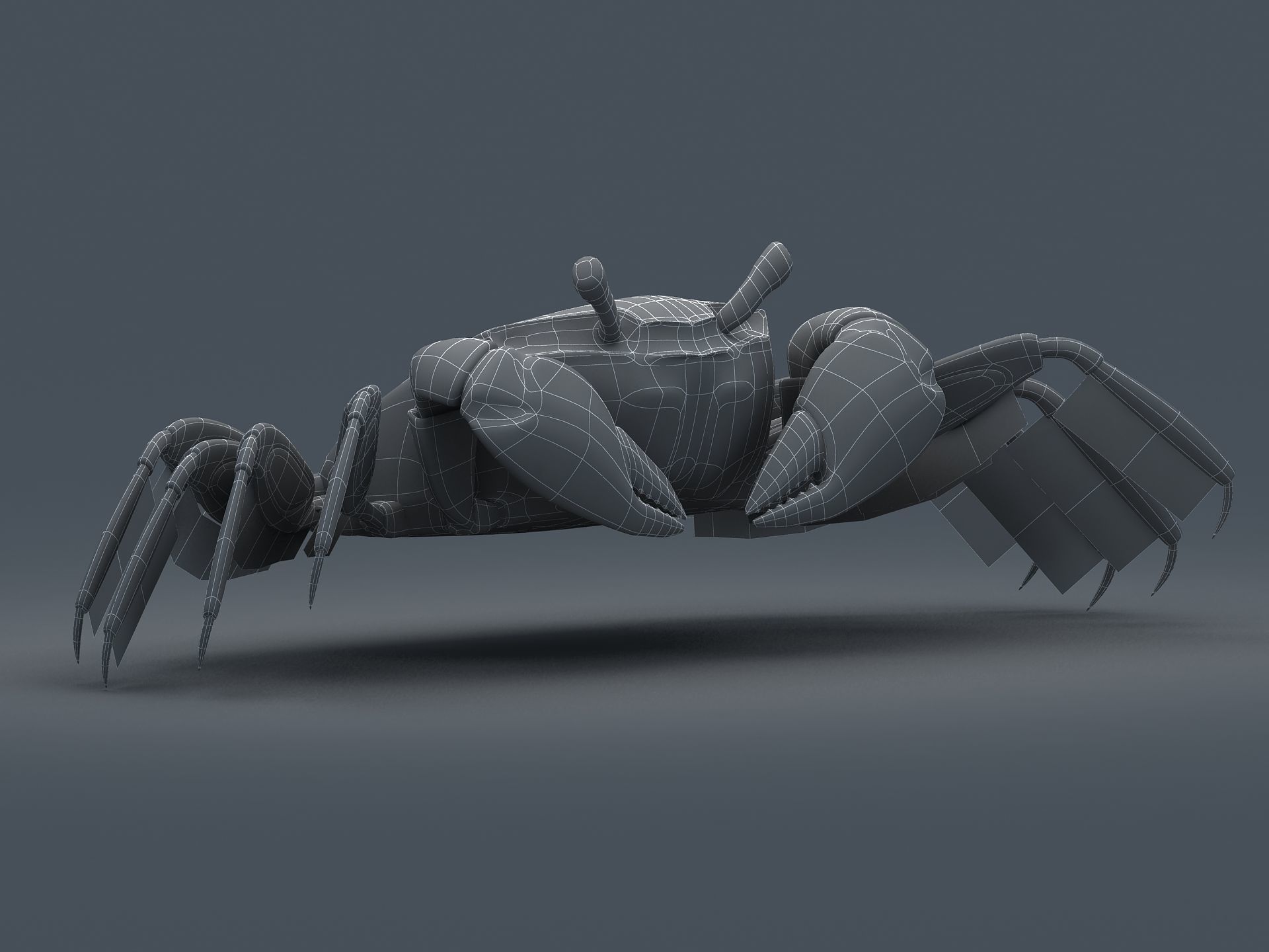 Crab Scopimera globosa Low-poly 3D model_14
