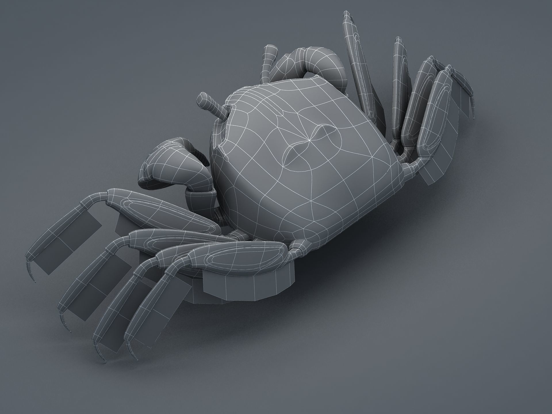 Crab Scopimera globosa Low-poly 3D model_21