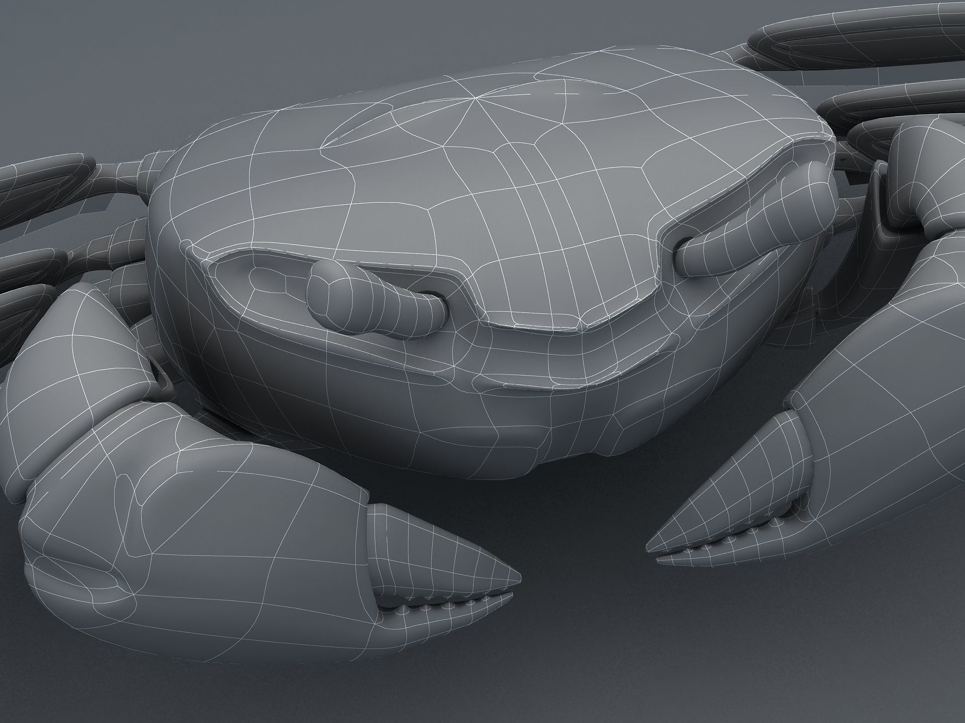 Crab Scopimera globosa Low-poly 3D model_7