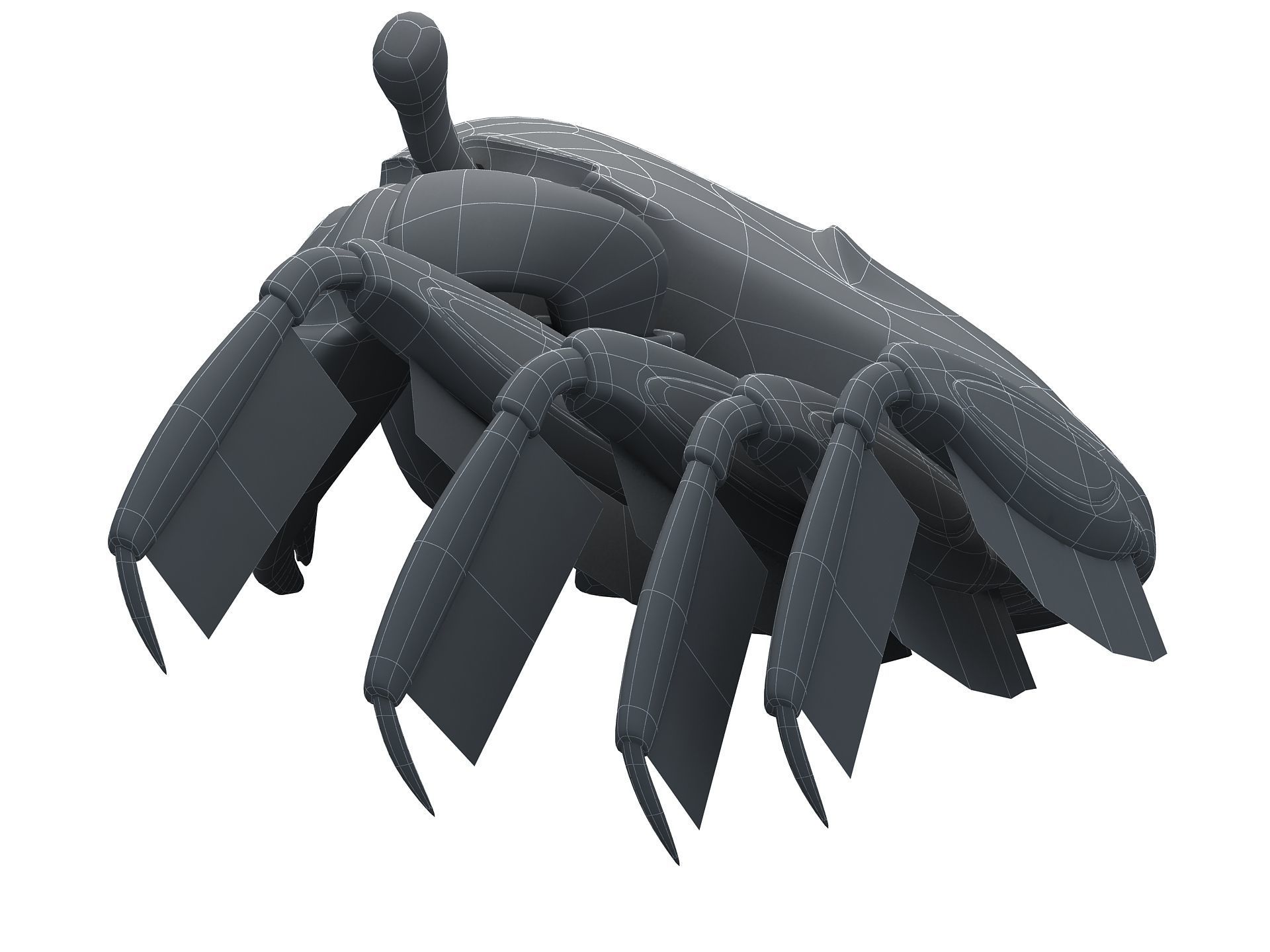 Crab Scopimera globosa Low-poly 3D model_18