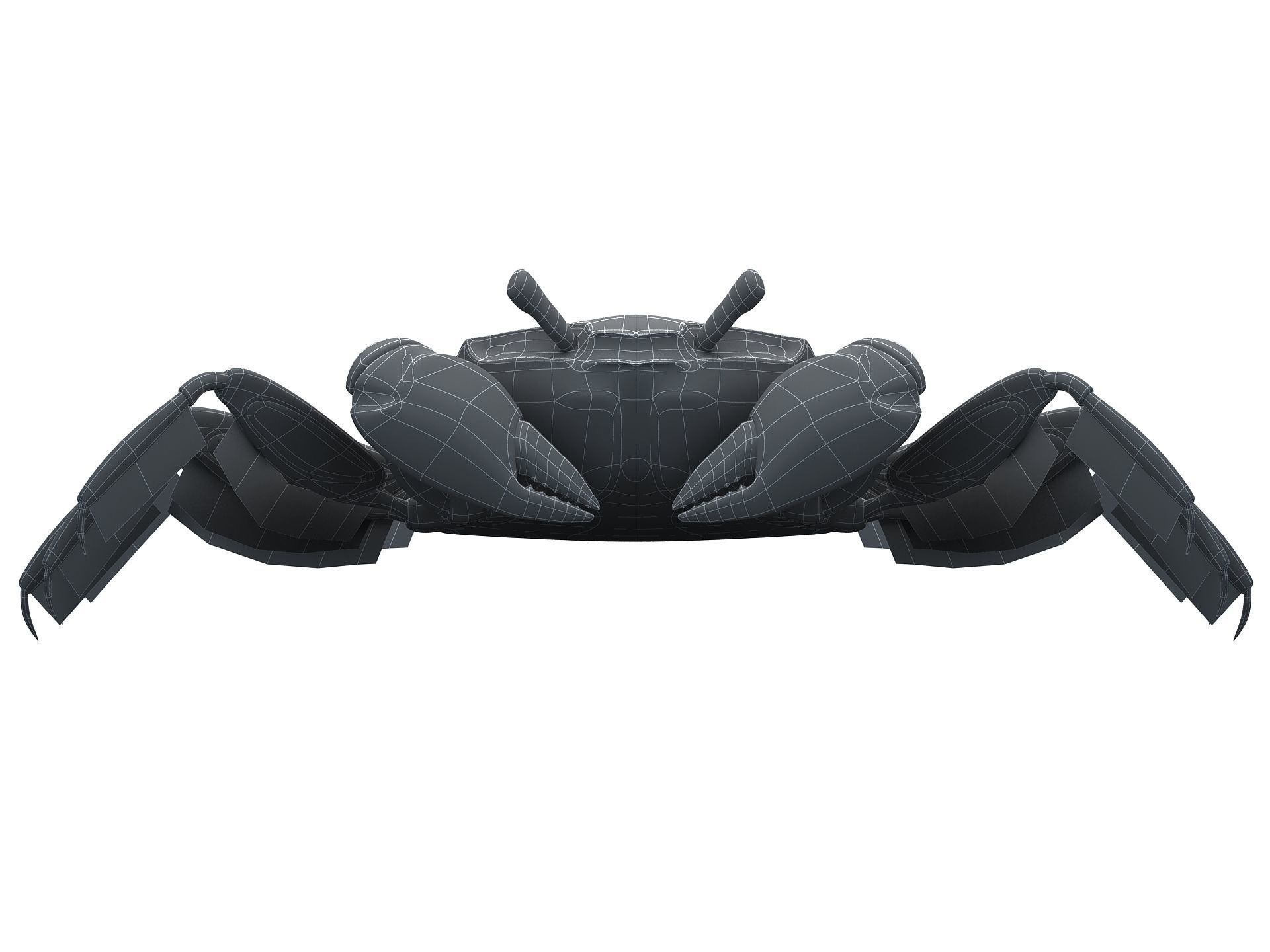 Crab Scopimera globosa Low-poly 3D model_16