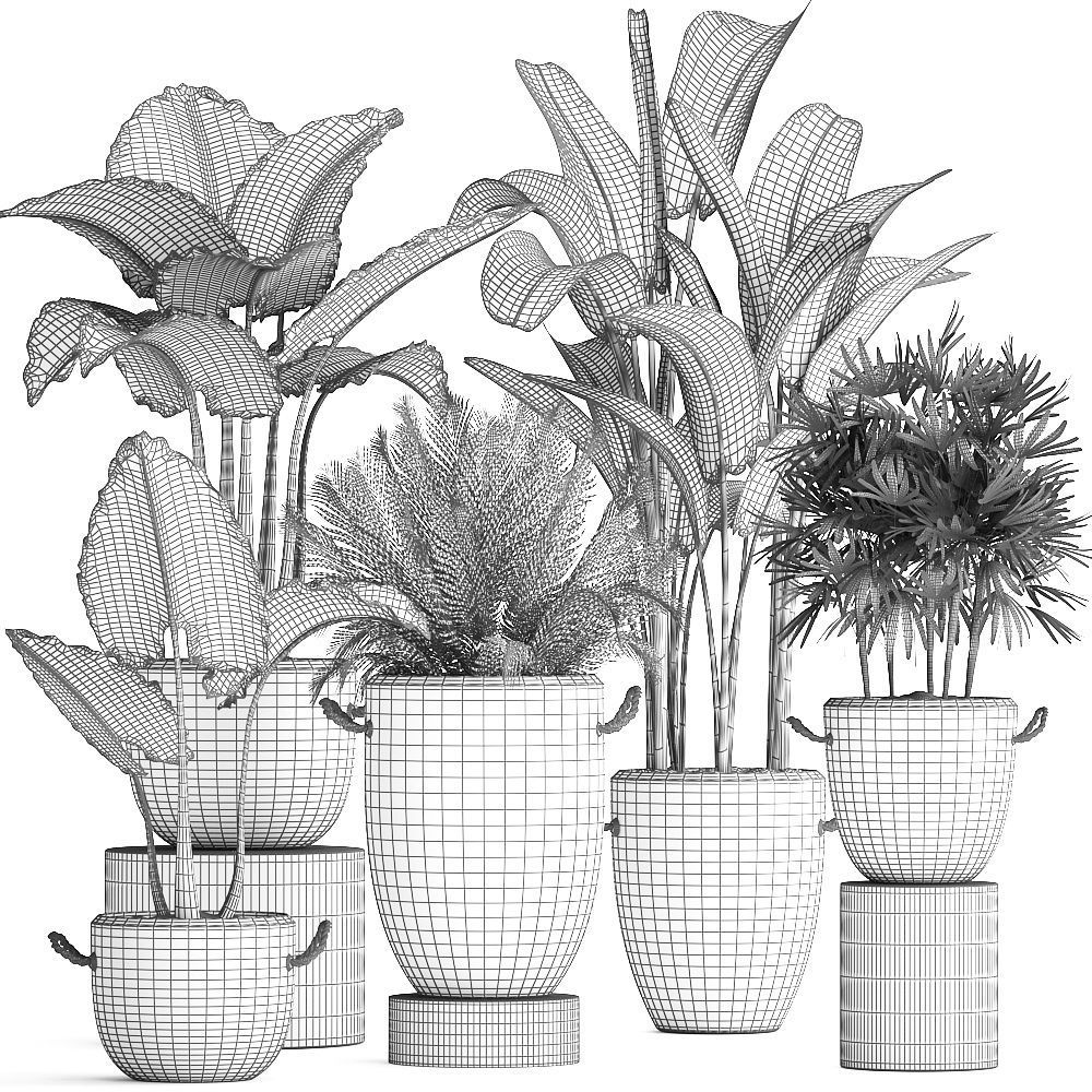 Collection of exotic palm trees in concrete pots 415 3D model_8