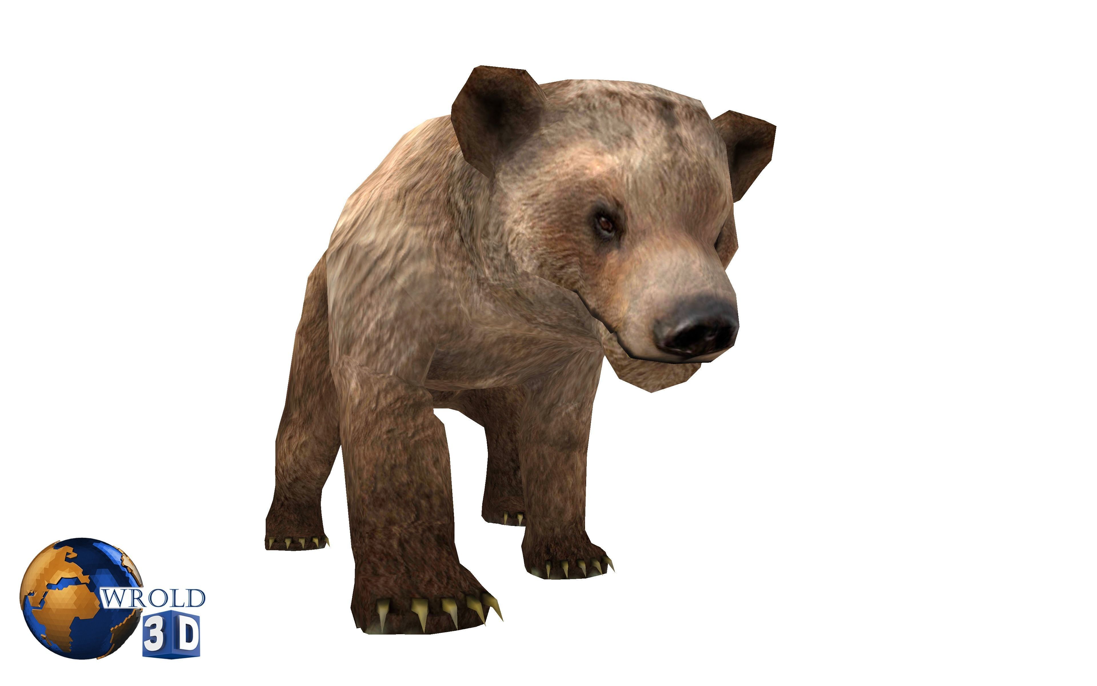 Animal Bear Rigged-Animated Pack Lowpoly 3d model Low-poly 3D model_5