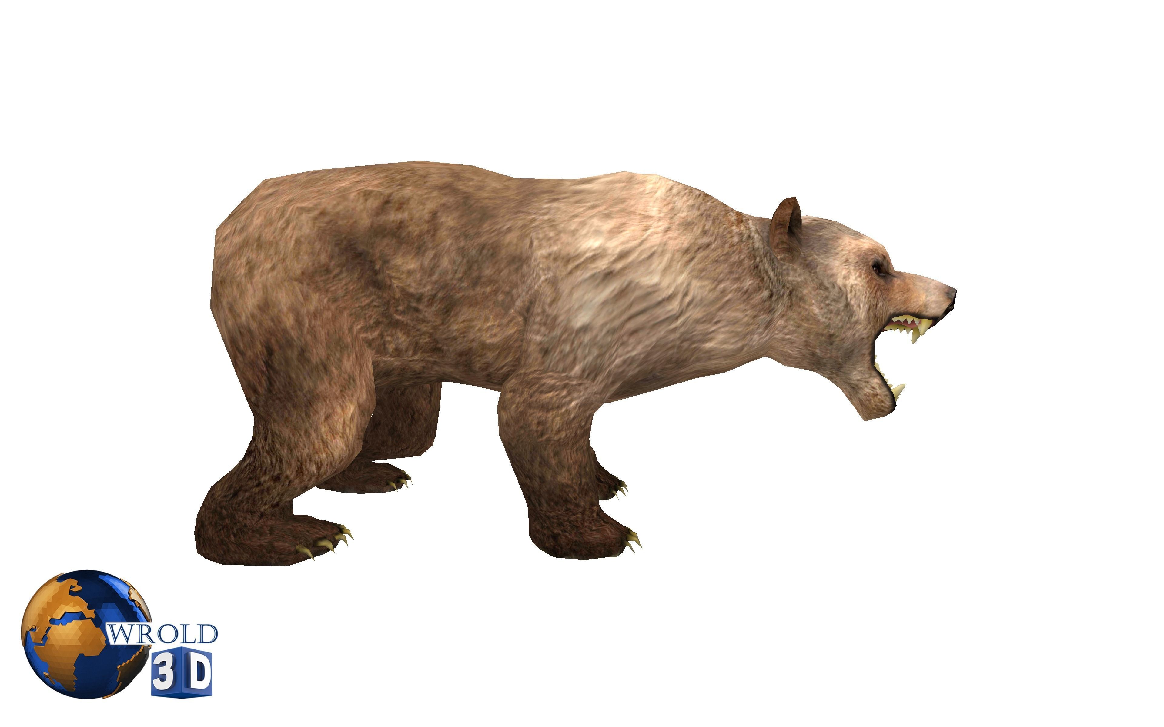 Animal Bear Rigged-Animated Pack Lowpoly 3d model Low-poly 3D model_2