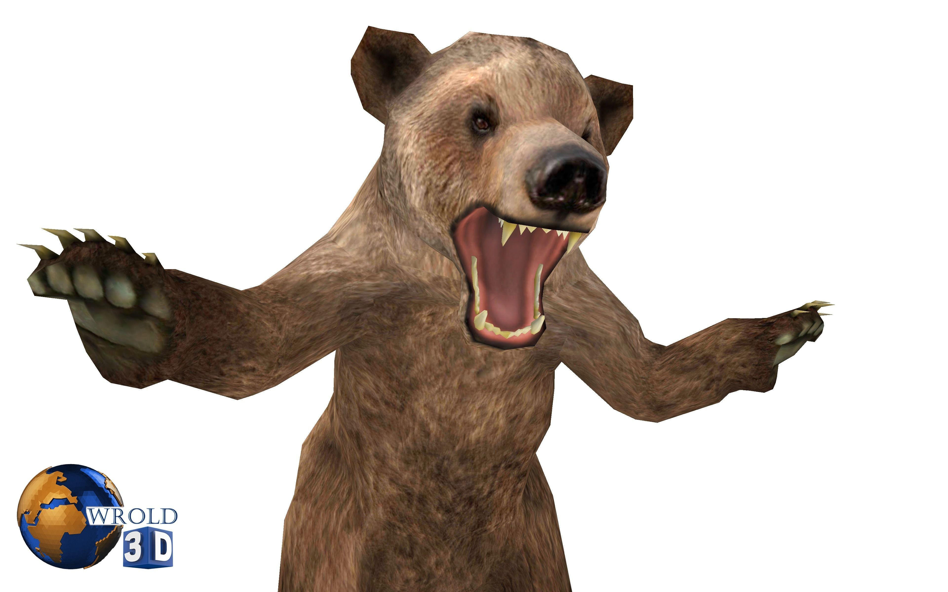 Animal Bear Rigged-Animated Pack Lowpoly 3d model Low-poly 3D model_3