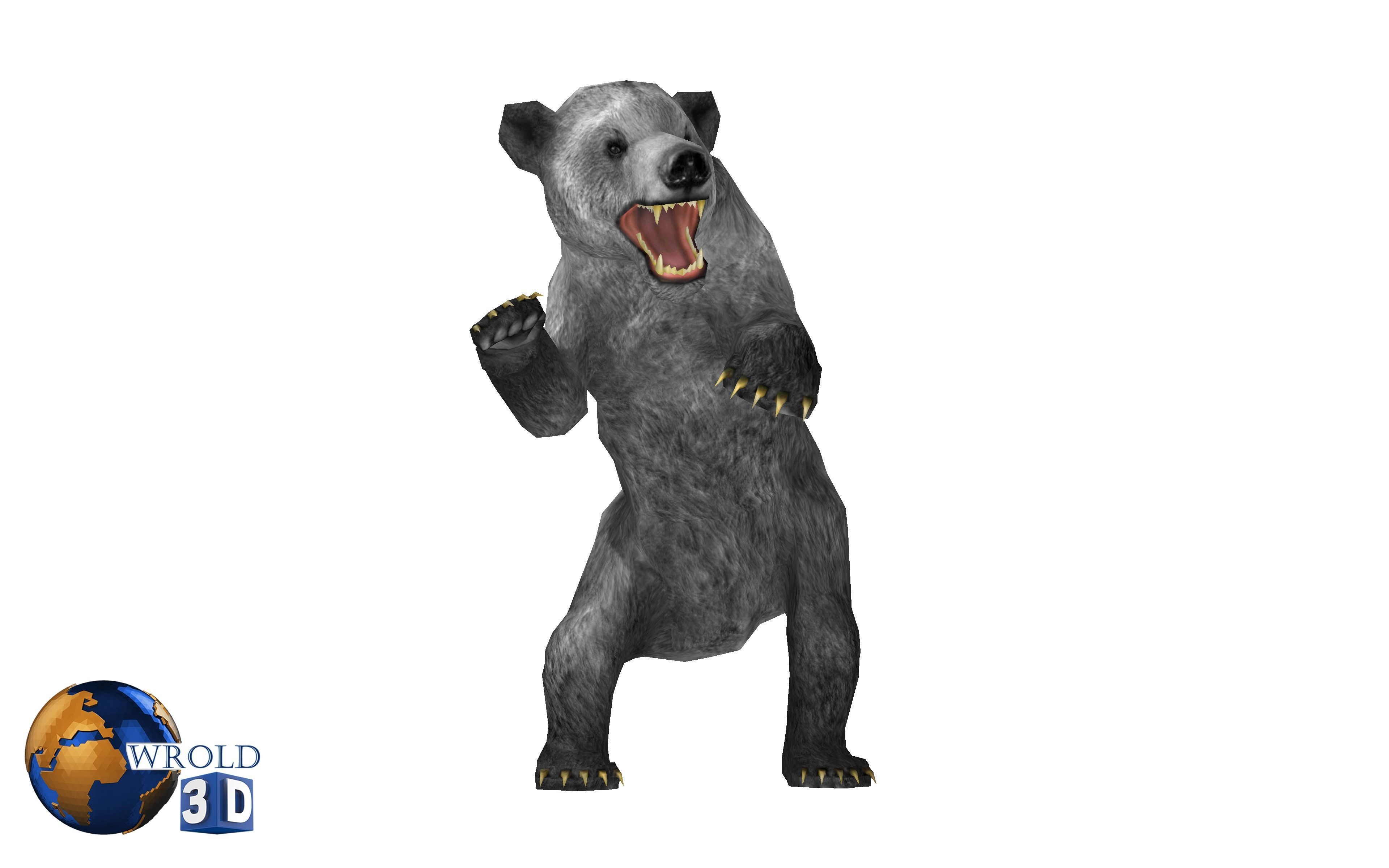 Animal Bear Rigged-Animated Pack Lowpoly 3d model Low-poly 3D model_4