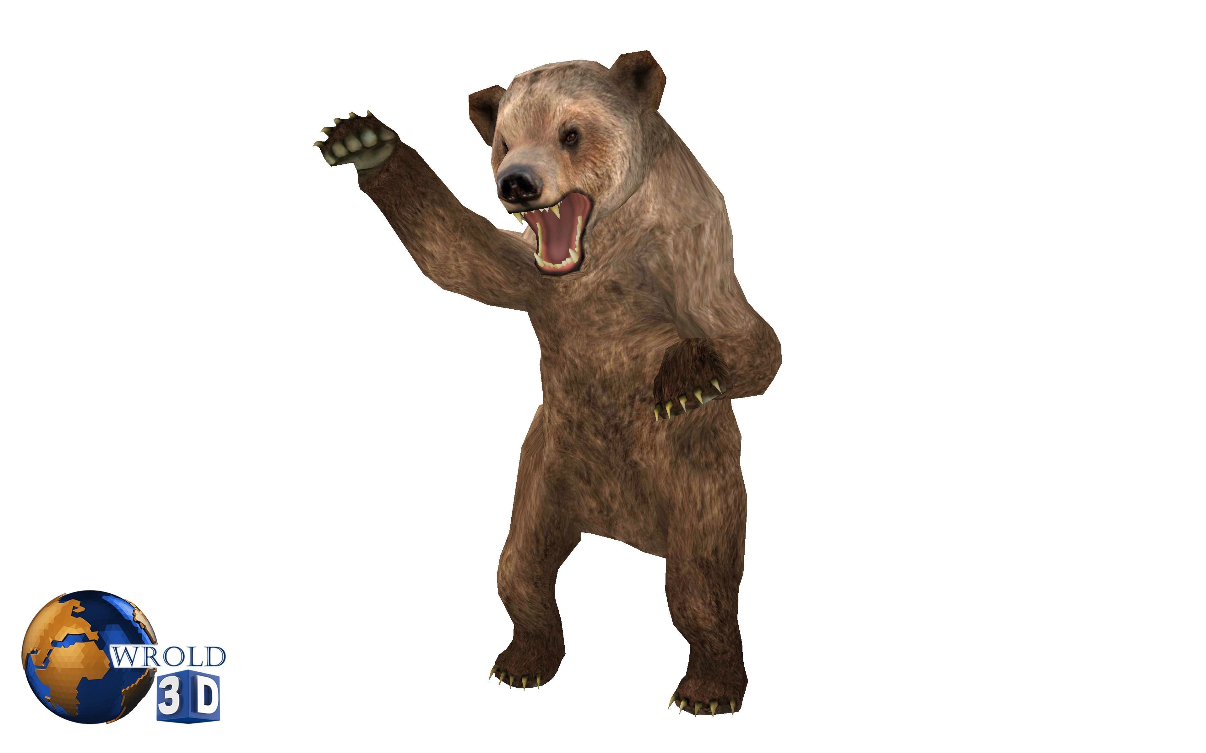 Animal Bear Rigged-Animated Pack Lowpoly 3d model Low-poly 3D model_1