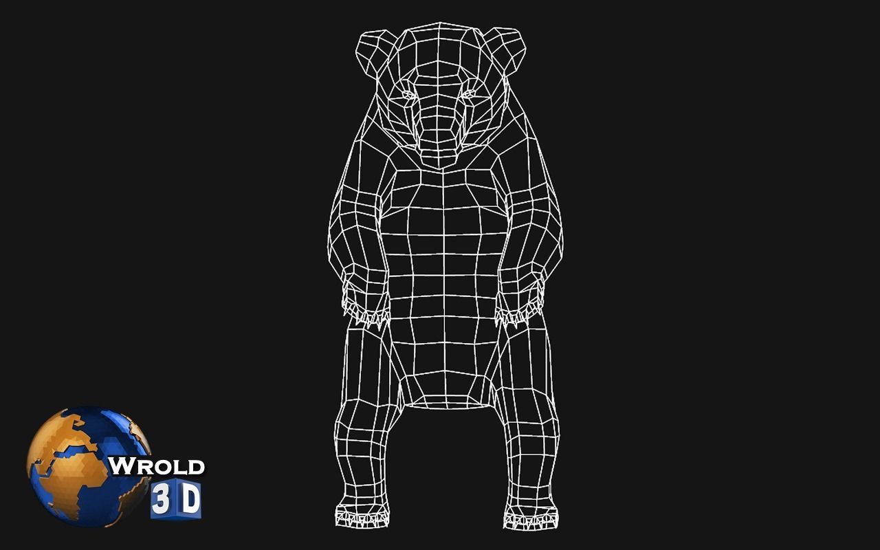 Animal Bear Rigged-Animated Pack Lowpoly 3d model Low-poly 3D model_6