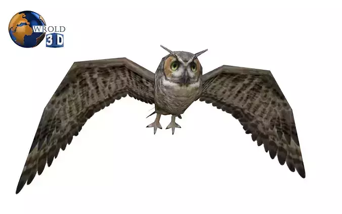 Owl rigged animated lowpoly 3d model Low-poly 3D model
