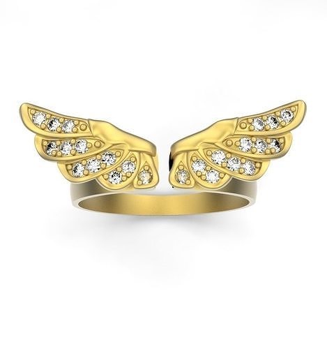 Ring wings 3D print model