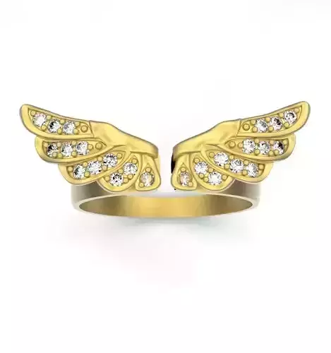 Ring wings 3D print model