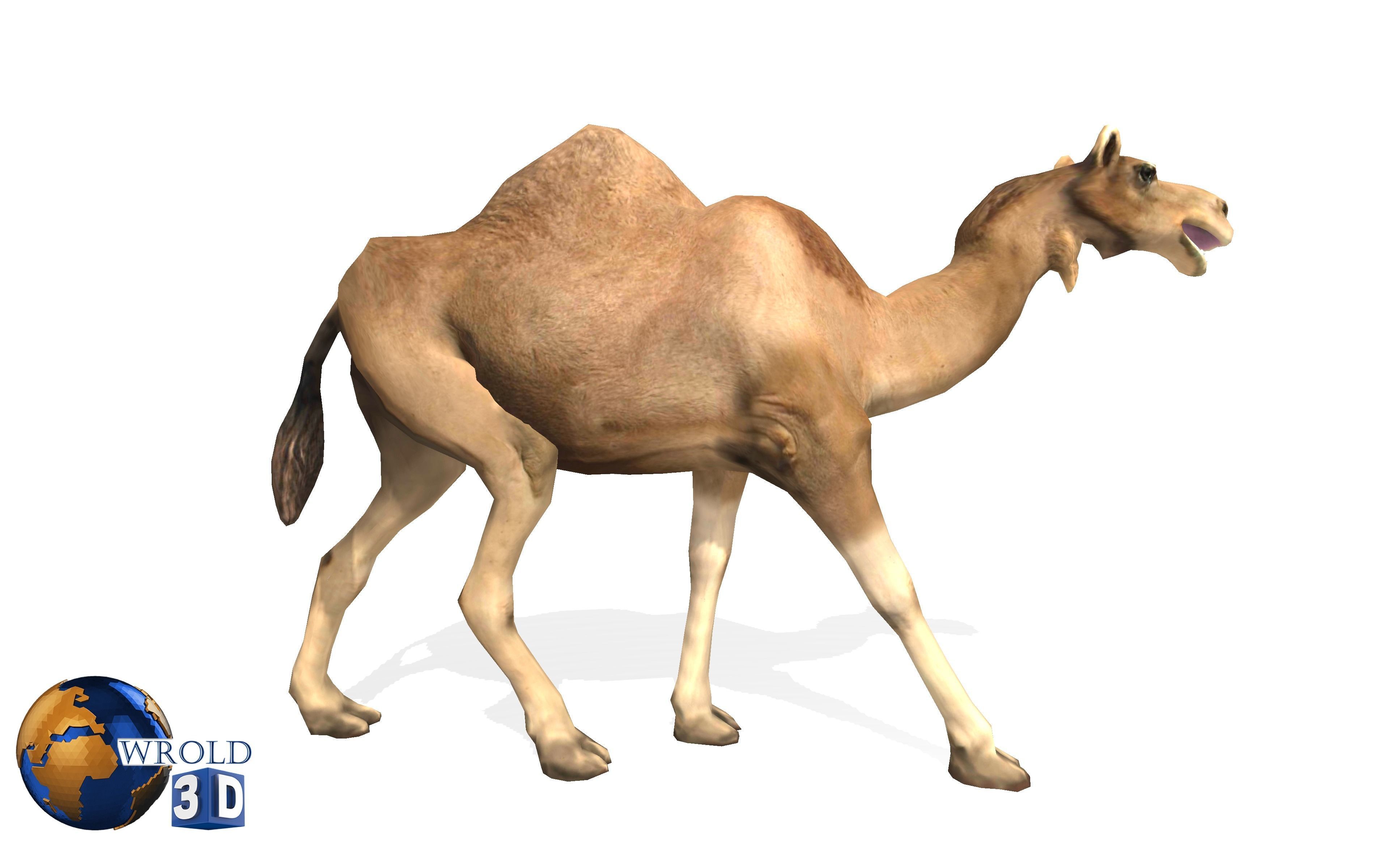 Camel Rigged Animated Lowpoly 3d model Low-poly 3D model_1