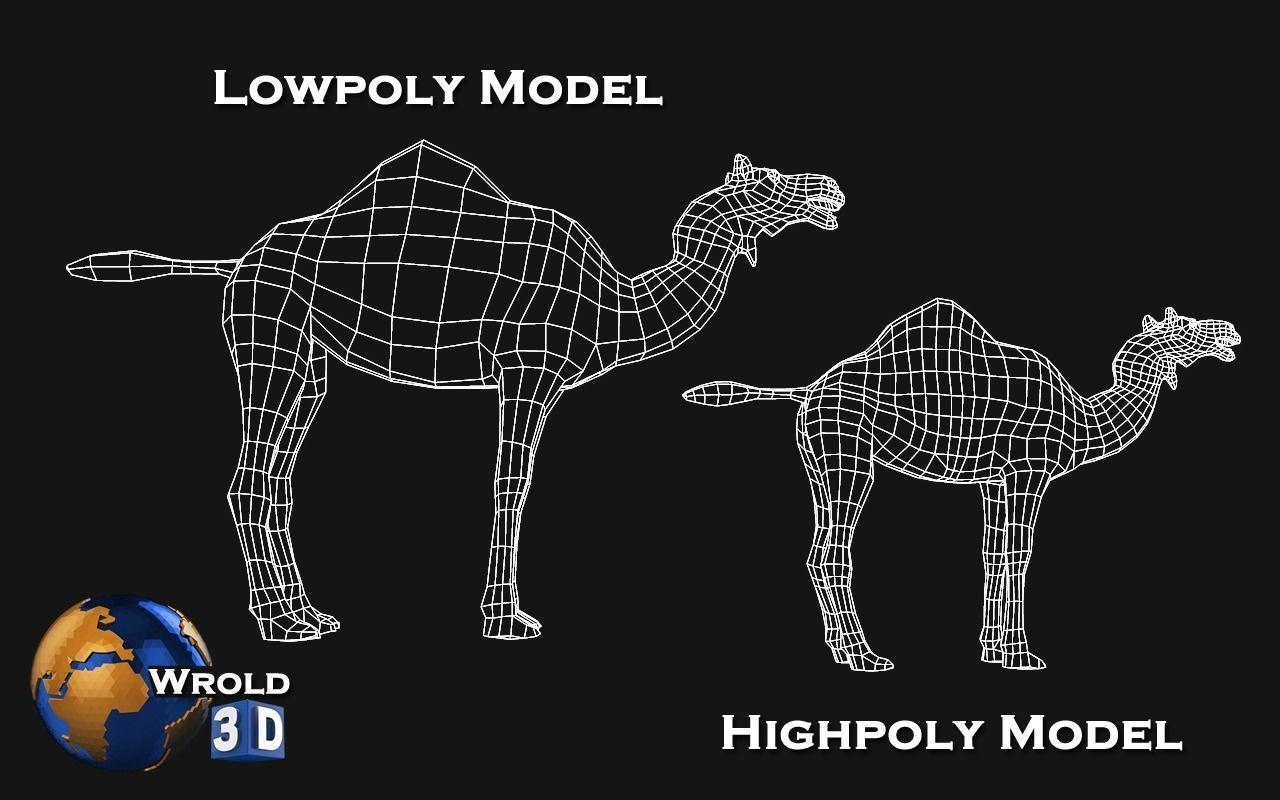Camel Rigged Animated Lowpoly 3d model Low-poly 3D model_6