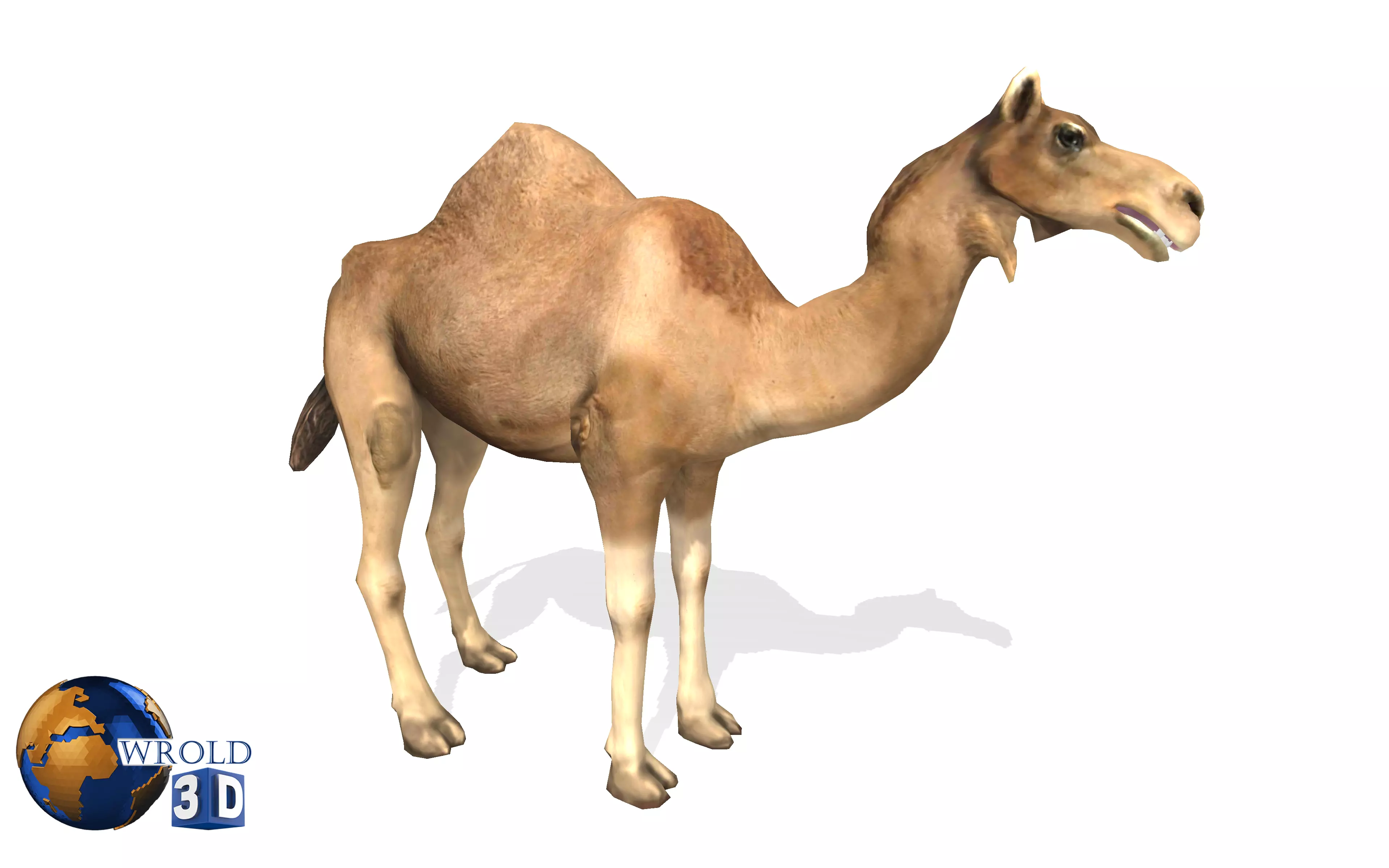 Camel Rigged Animated Lowpoly 3d model Low-poly 3D model_0