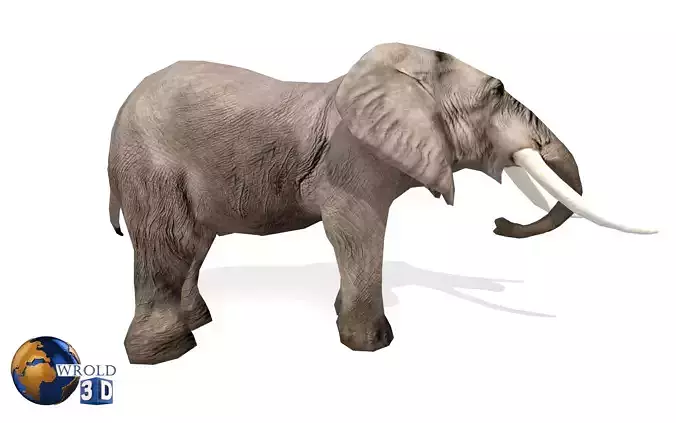 Elephant Rigged Animated Lowpoly 3d model