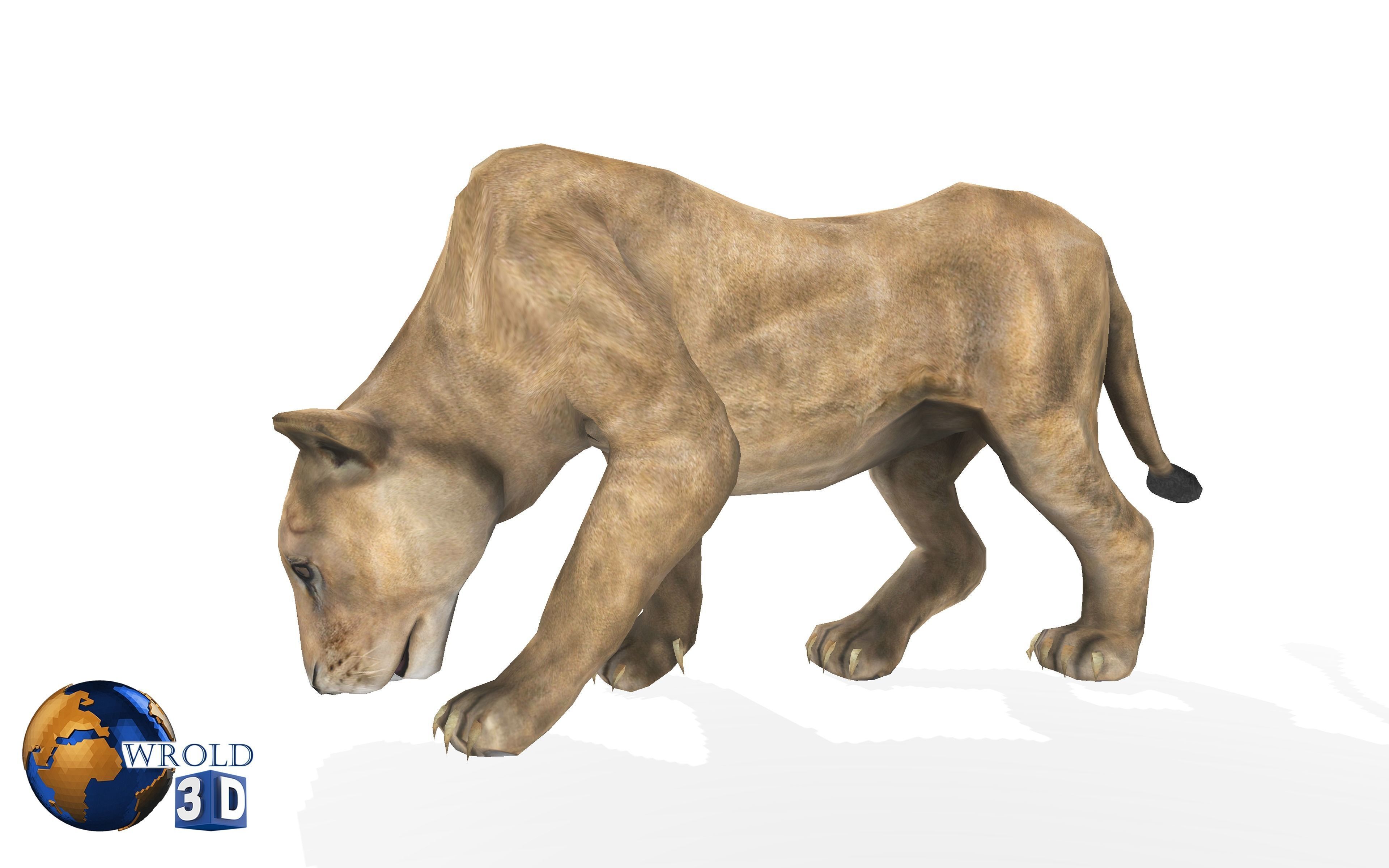 Lion Female Rigged Animated 3D Model Low-poly 3D model_5