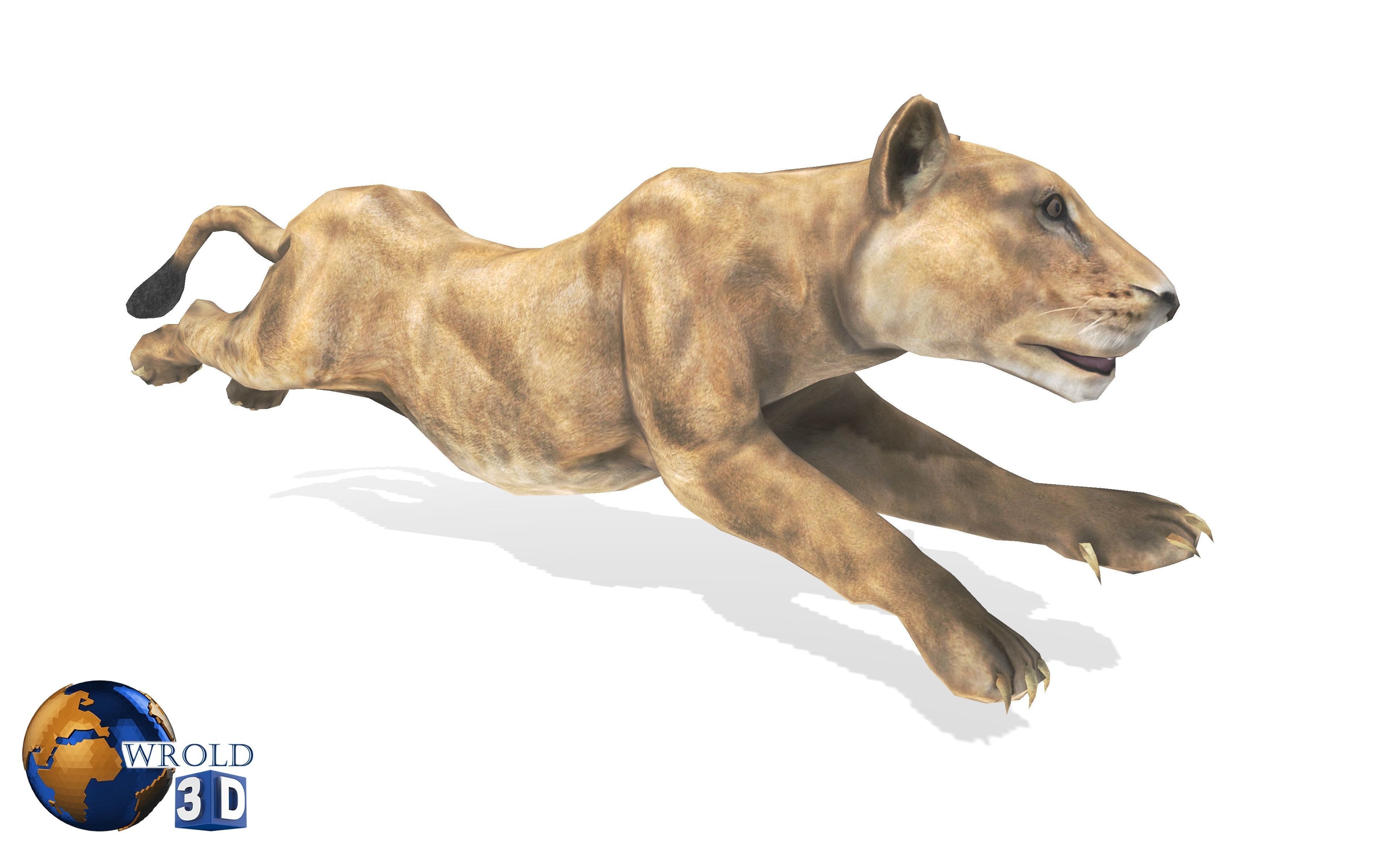 Lion Female Rigged Animated 3D Model Low-poly 3D model_4