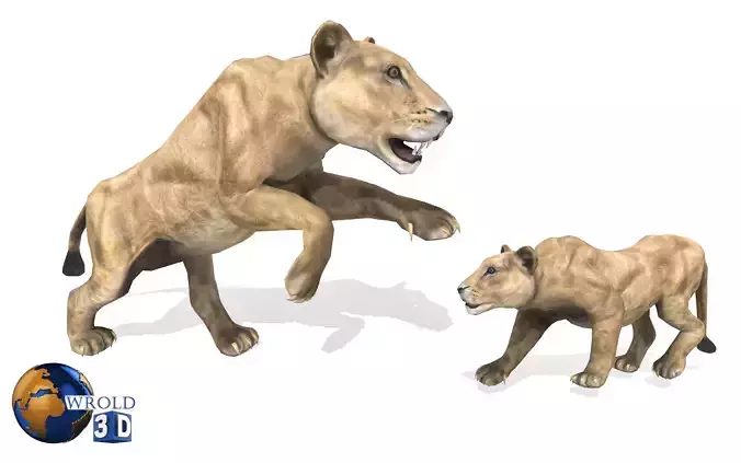 Lion Female Rigged Animated 3D Model Low-poly 3D model