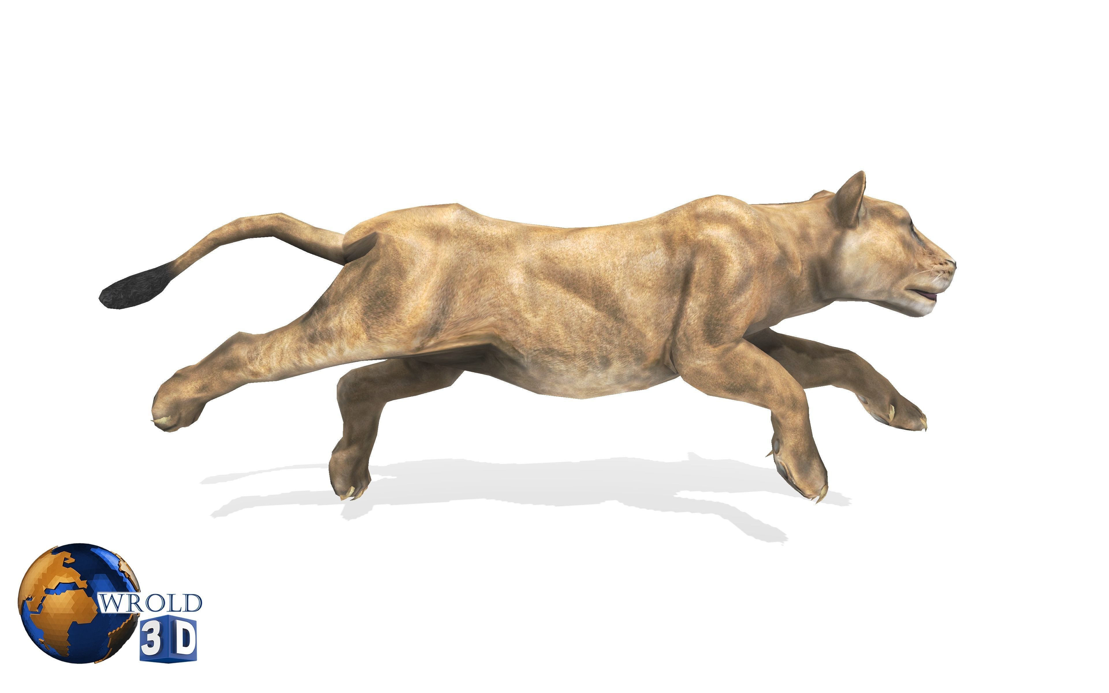 Lion Female Rigged Animated 3D Model Low-poly 3D model_1