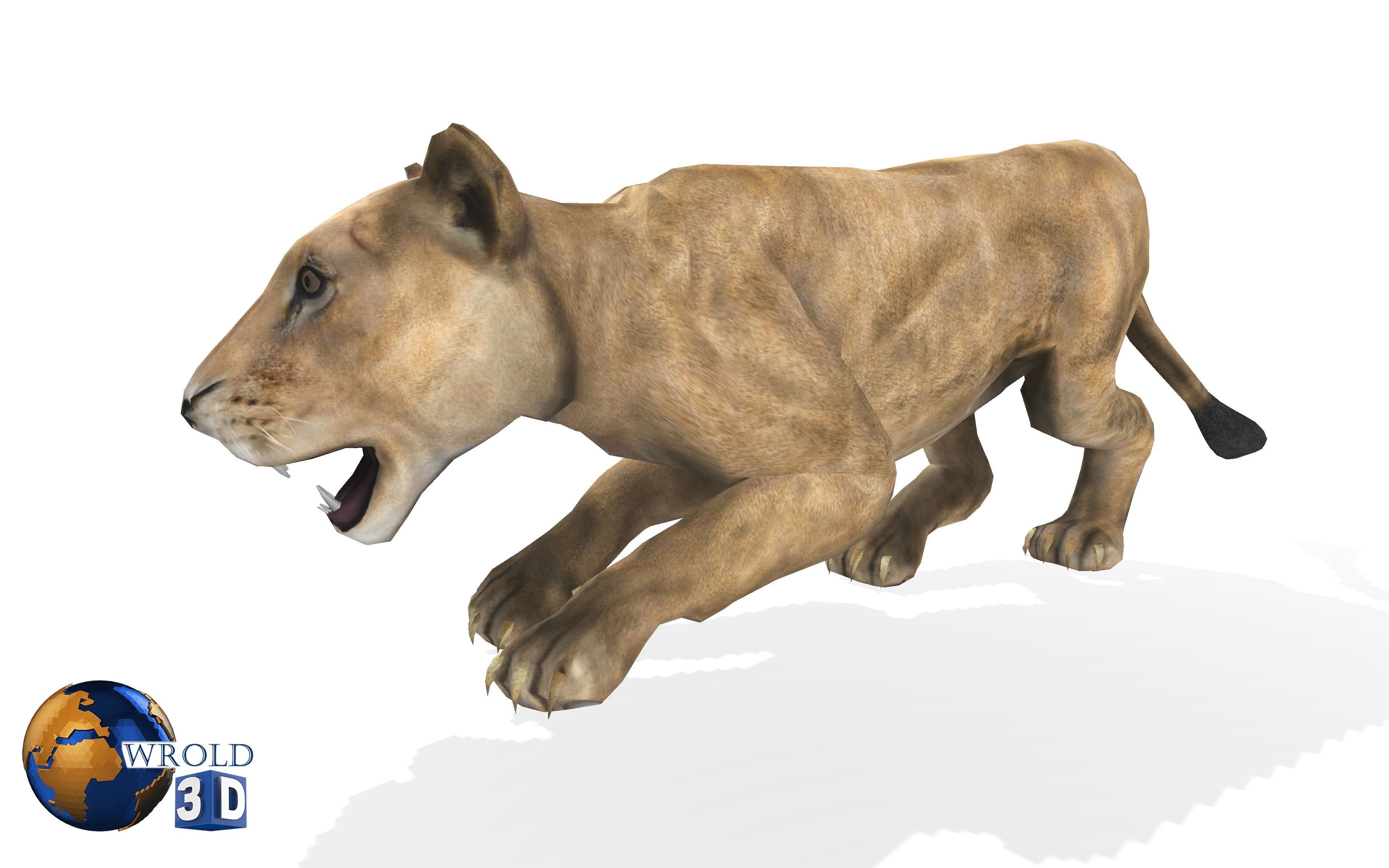 Lion Female Rigged Animated 3D Model Low-poly 3D model_6