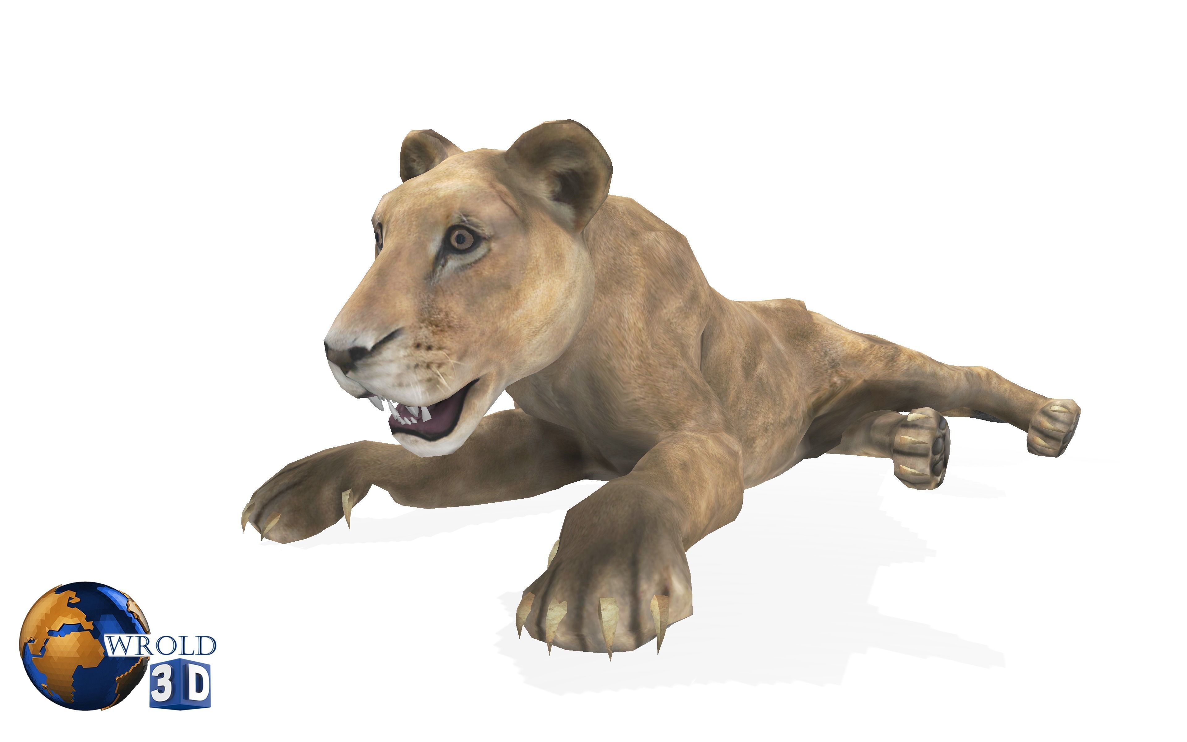 Lion Female Rigged Animated 3D Model Low-poly 3D model_2
