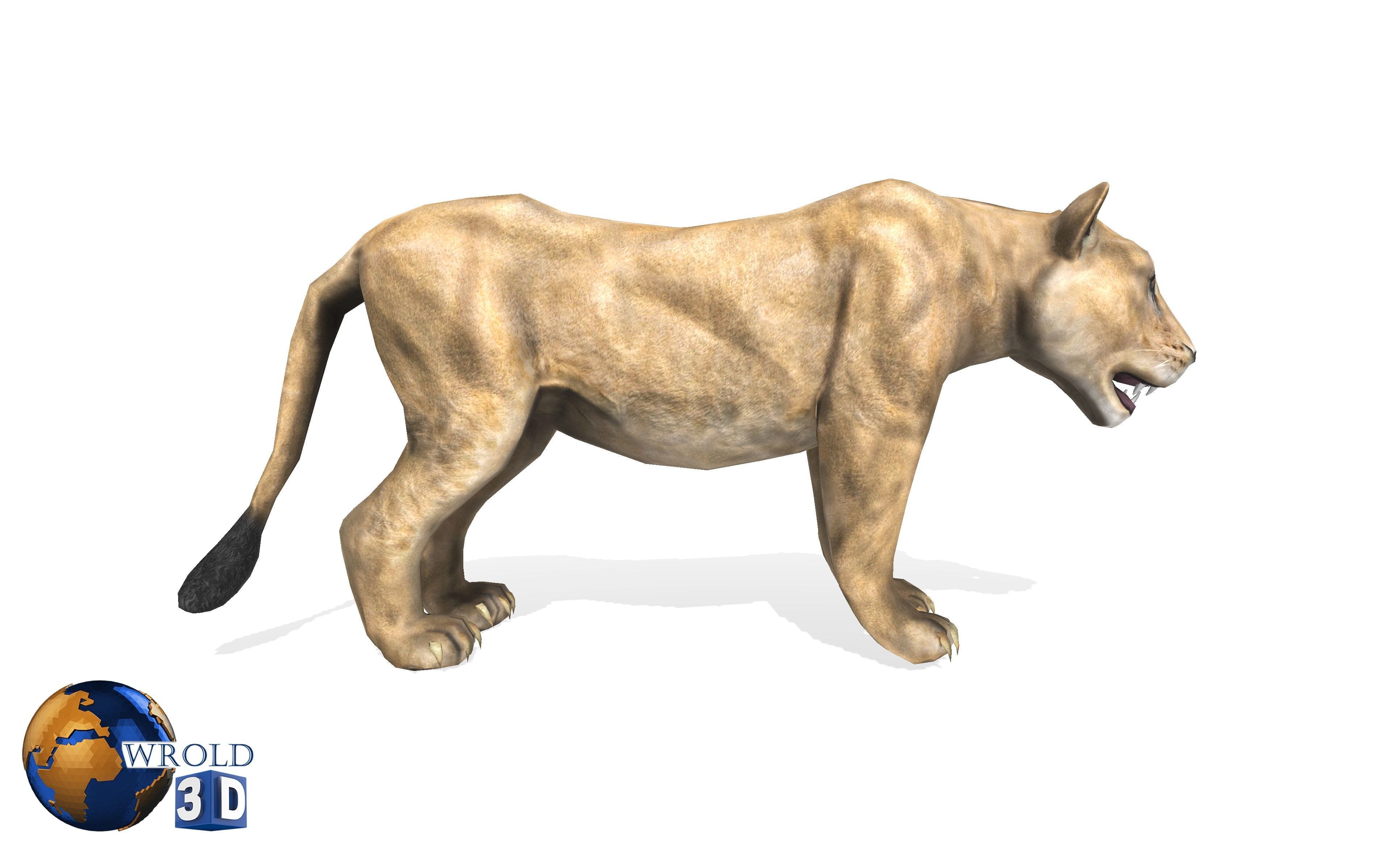 Lion Female Rigged Animated 3D Model Low-poly 3D model_3