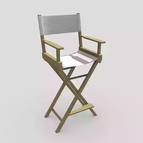 Director Chair