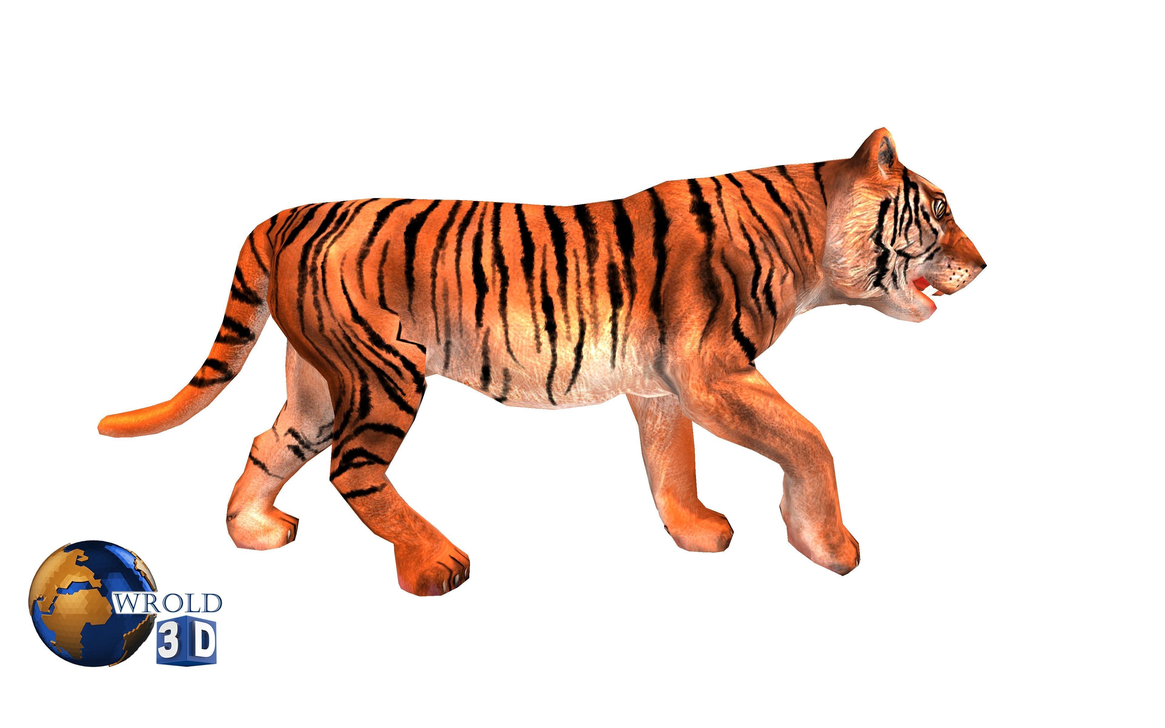  Tiger rigged Animated Lowpoly 3d model Low-poly 3D model_1
