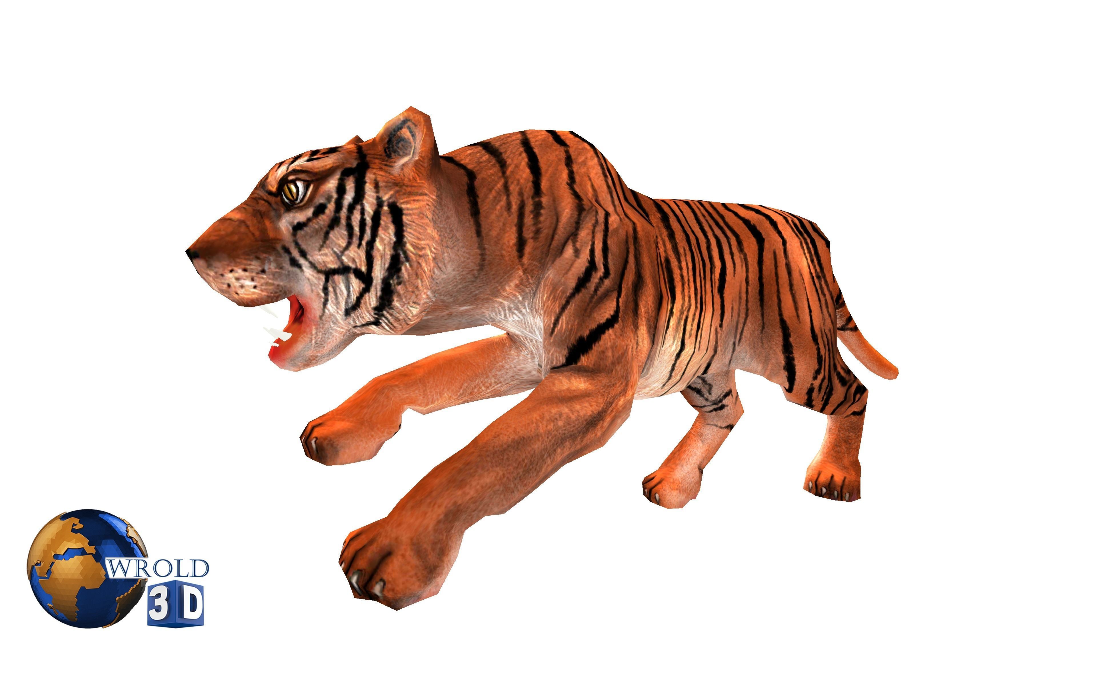  Tiger rigged Animated Lowpoly 3d model Low-poly 3D model_6